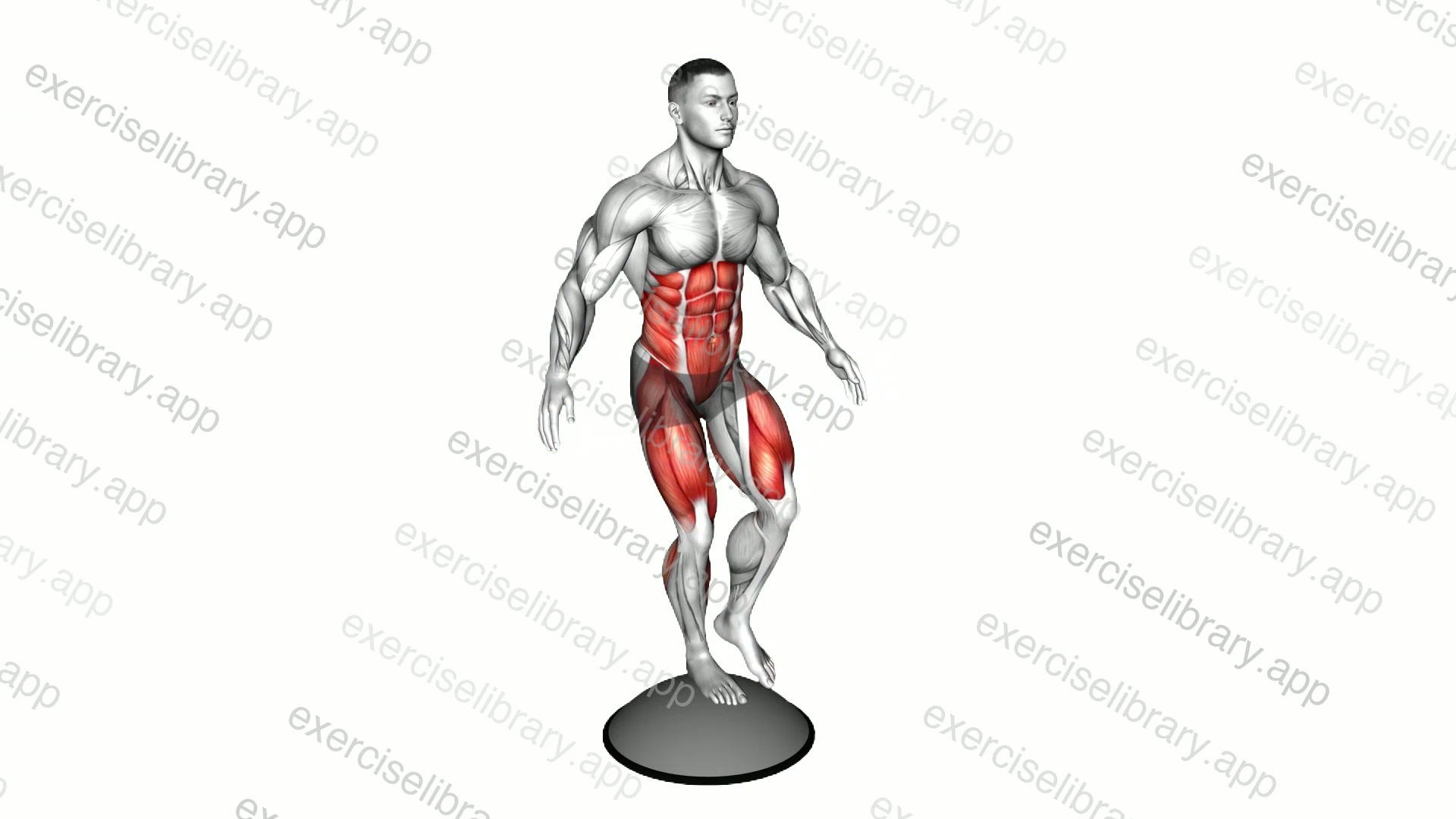 Single Leg Stand on Bosu Ball demonstration