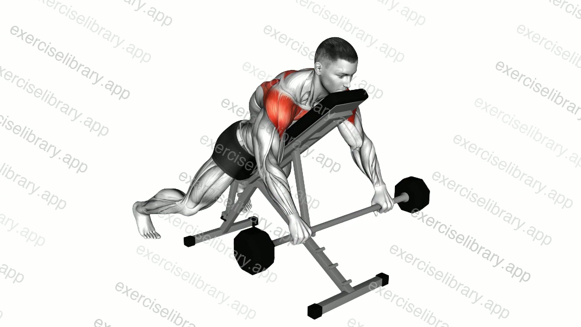 Barbell Incline Lying Rear Delt Raise demonstration