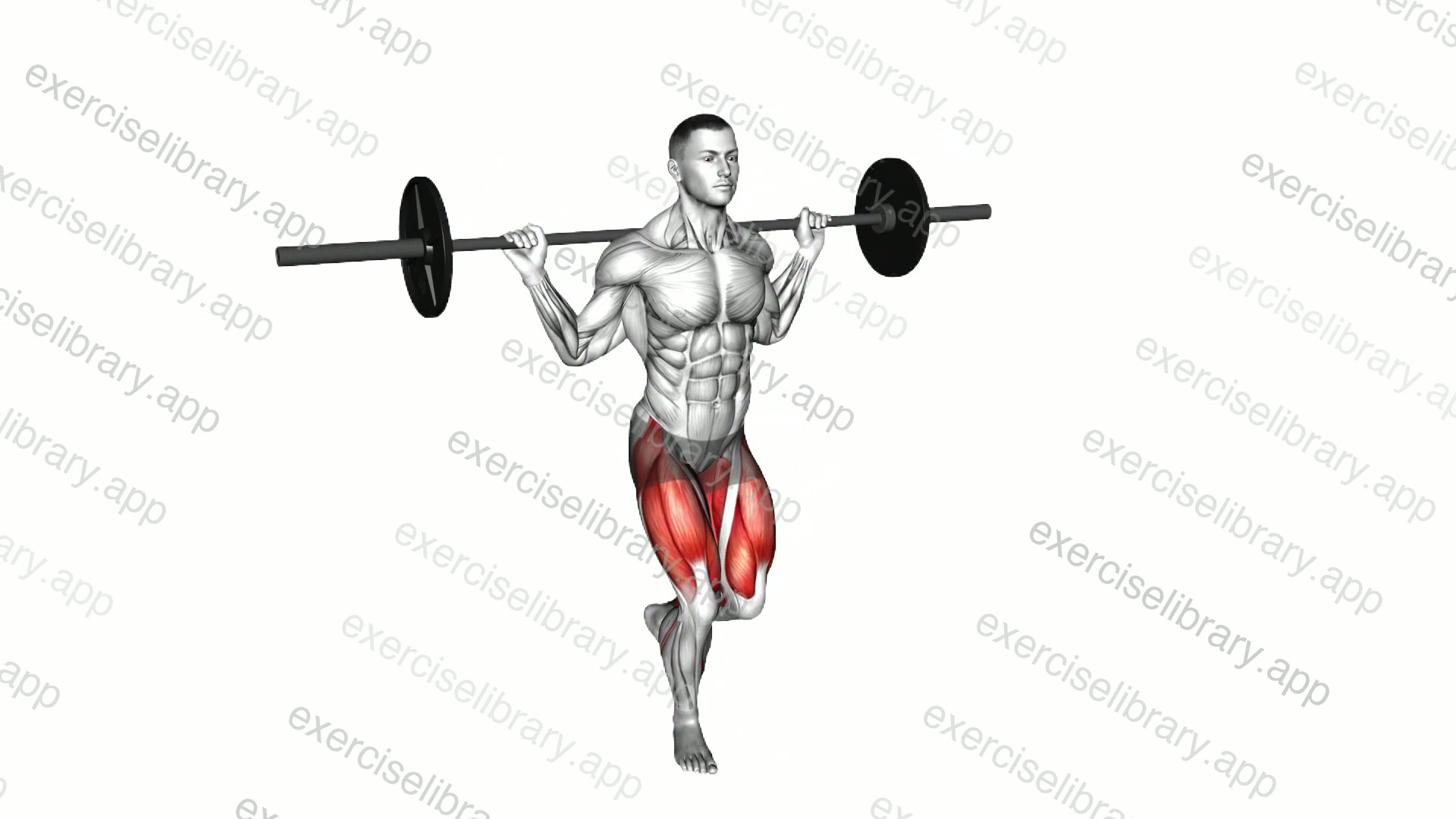 Barbell Curtsey Lunge demonstration
