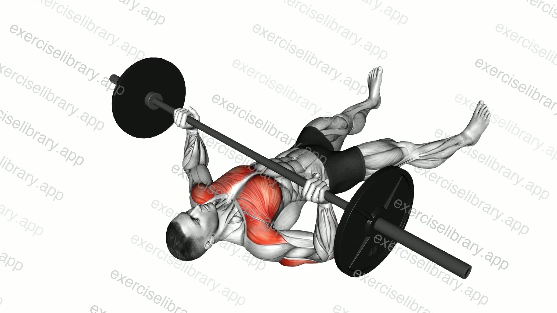 Barbell Floor Chest Press demonstration