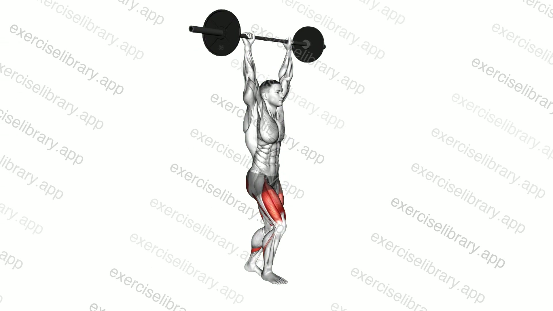 Barbell Overhead Lunge demonstration