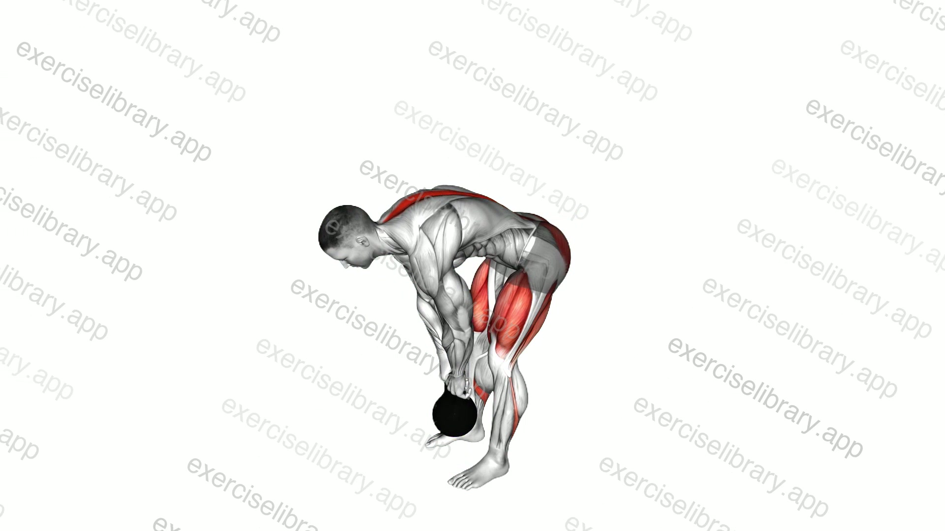 Kettlebell Straight leg Deadlift demonstration