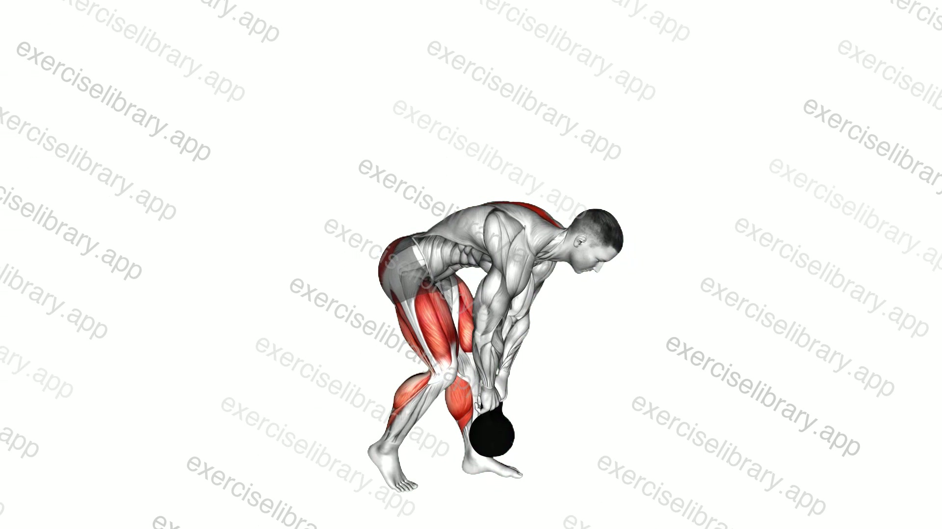 Kettlebell Kickstand One Leg Deadlift demonstration