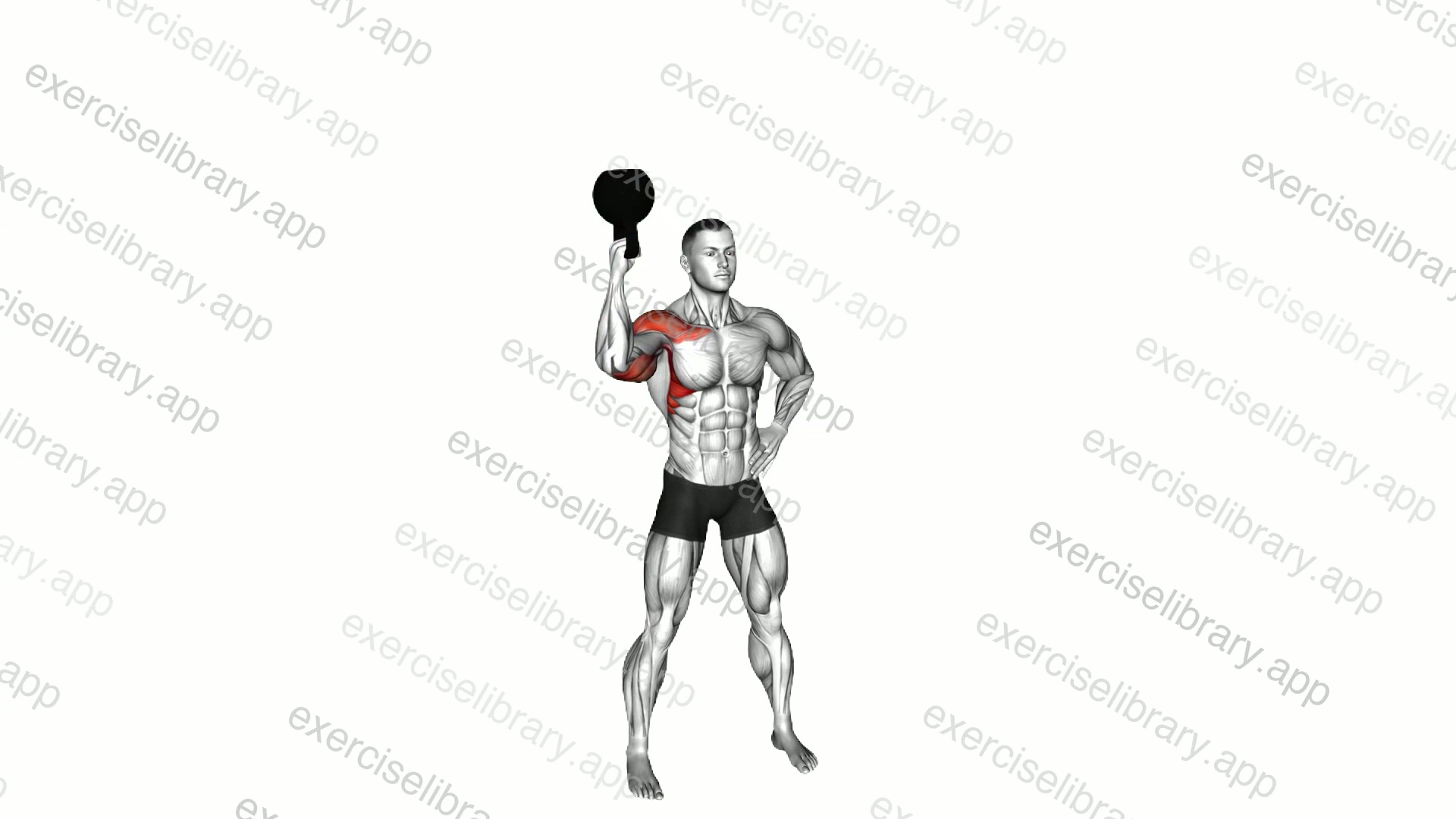 Kettlebell Standing Bottoms-up One Arm Shoulder Press demonstration