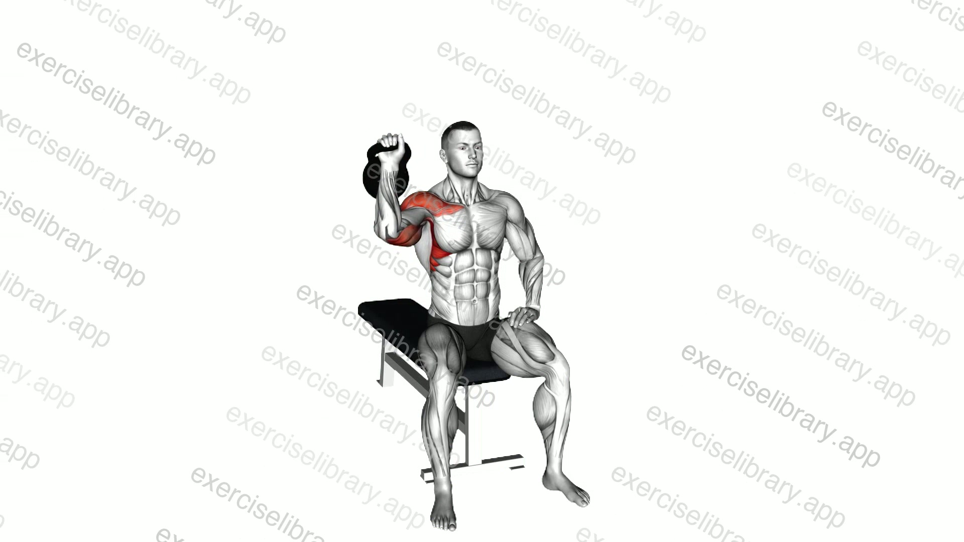 Kettlebell Seated One Arm Military Press demonstration