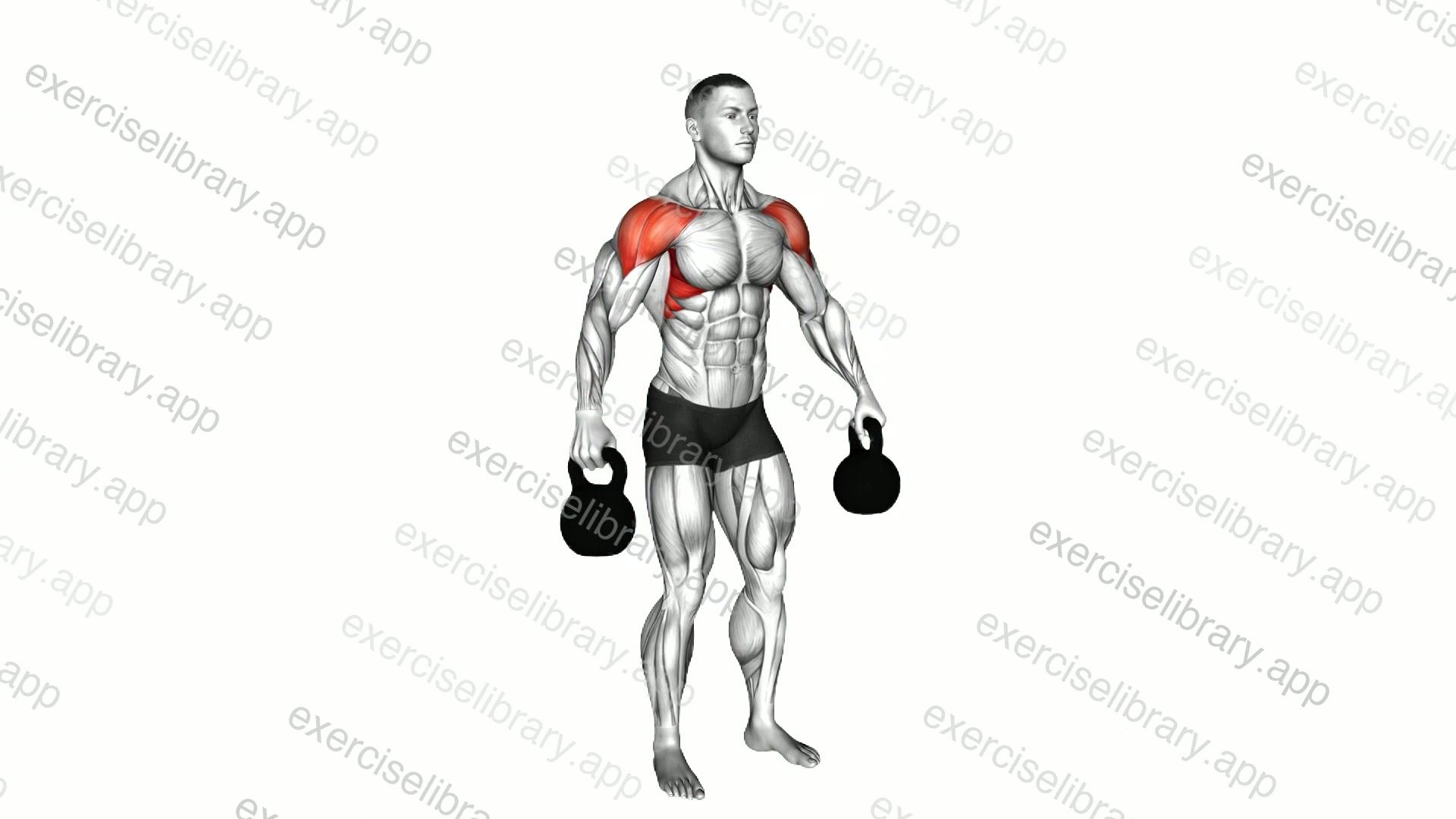Kettlebell Lateral Raise demonstration