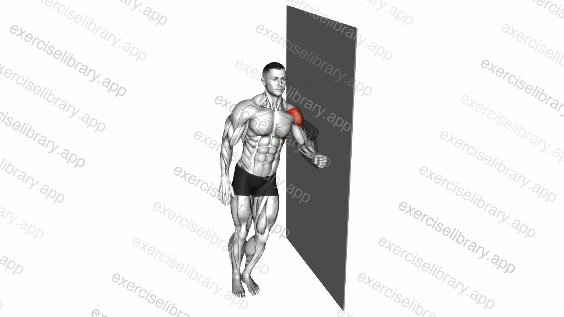 Lateral Raise with Towel demonstration