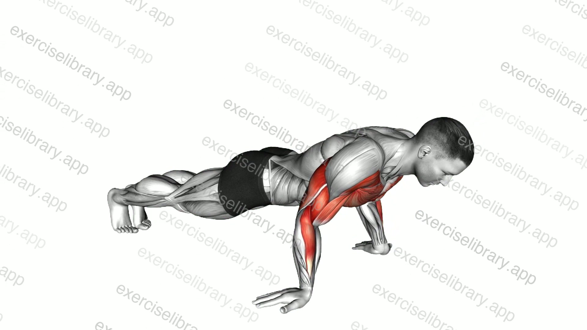 Reverse Push-up demonstration