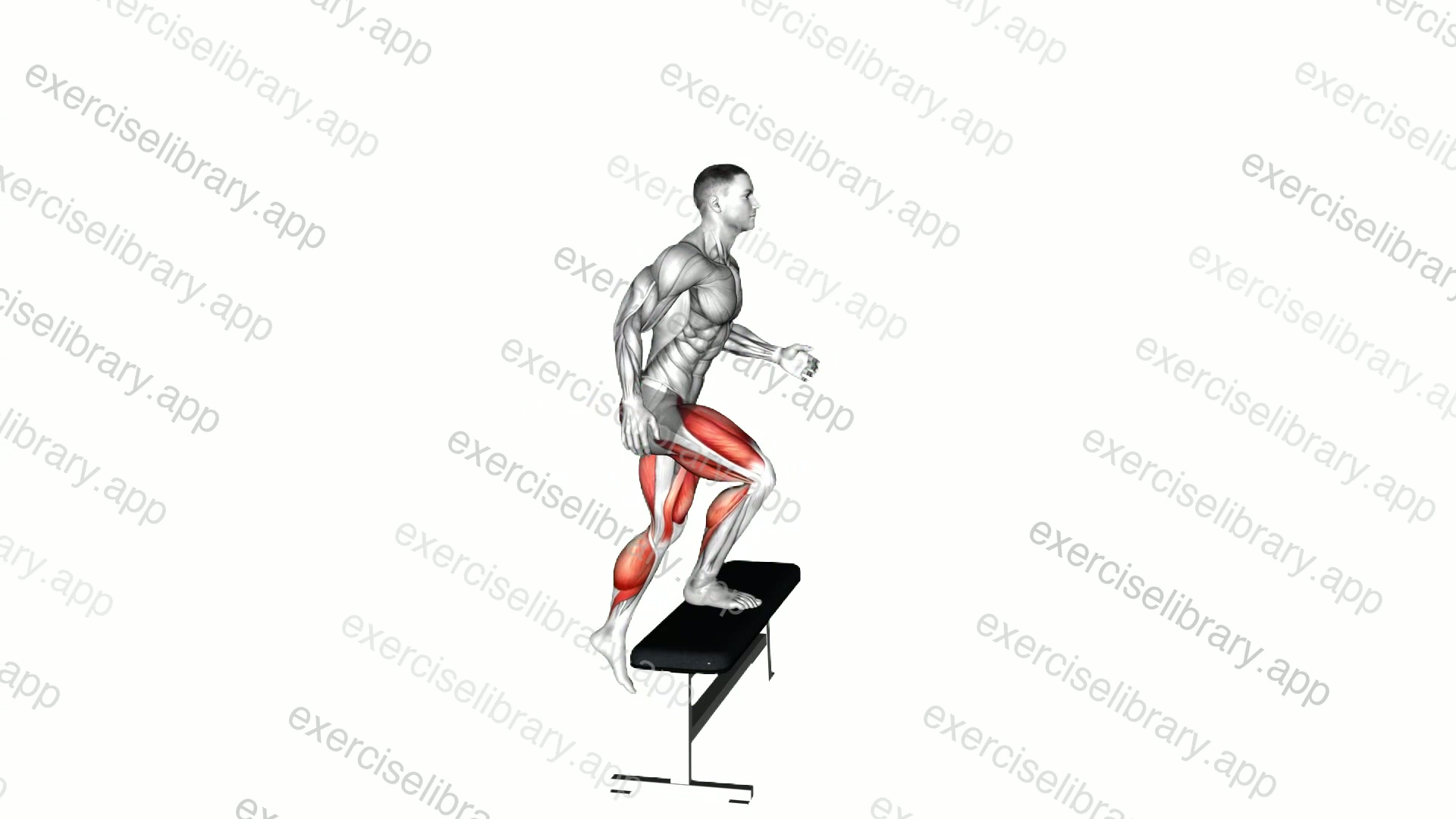 Jump Step-Up demonstration