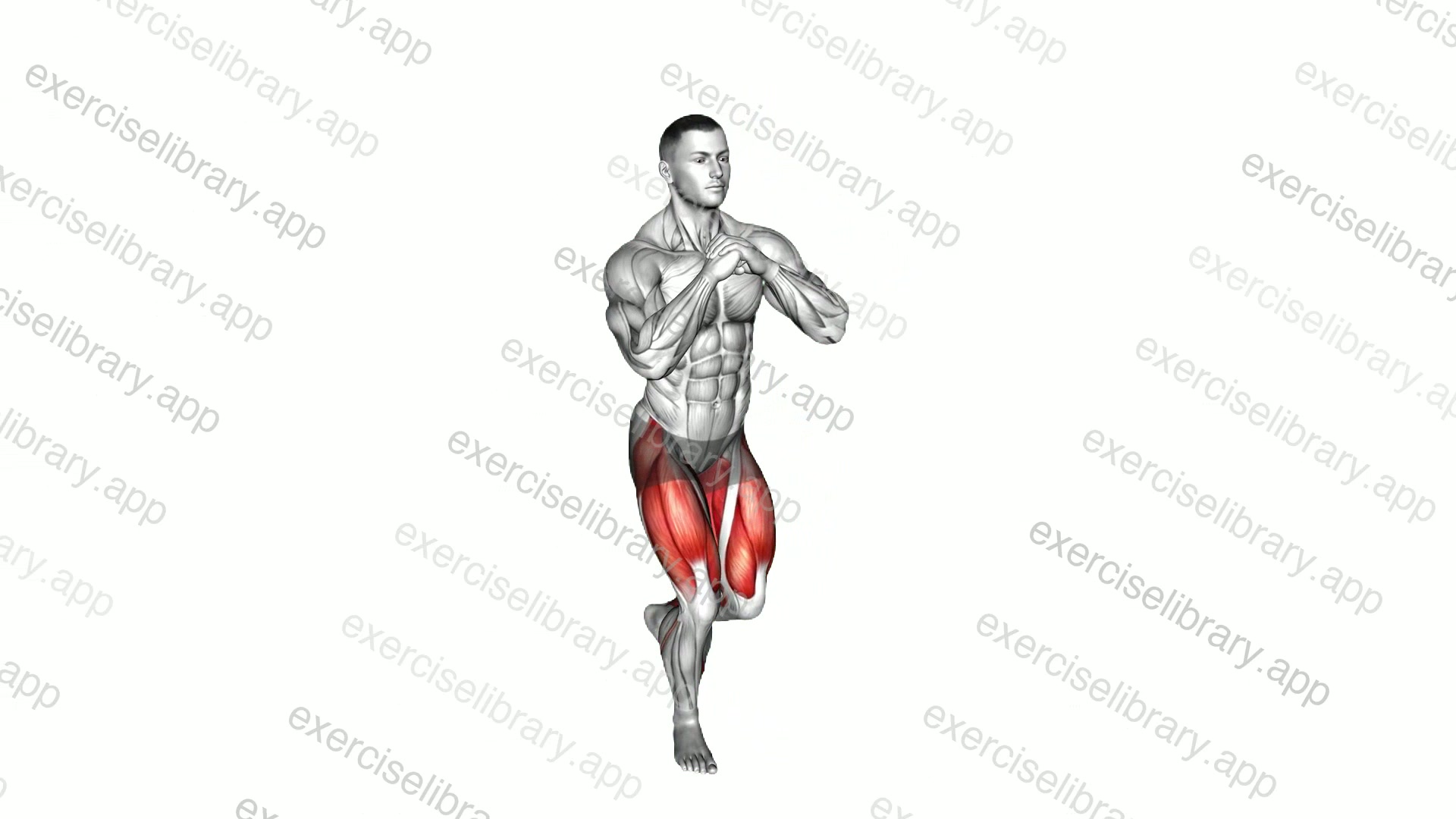 Curtsey Squat demonstration