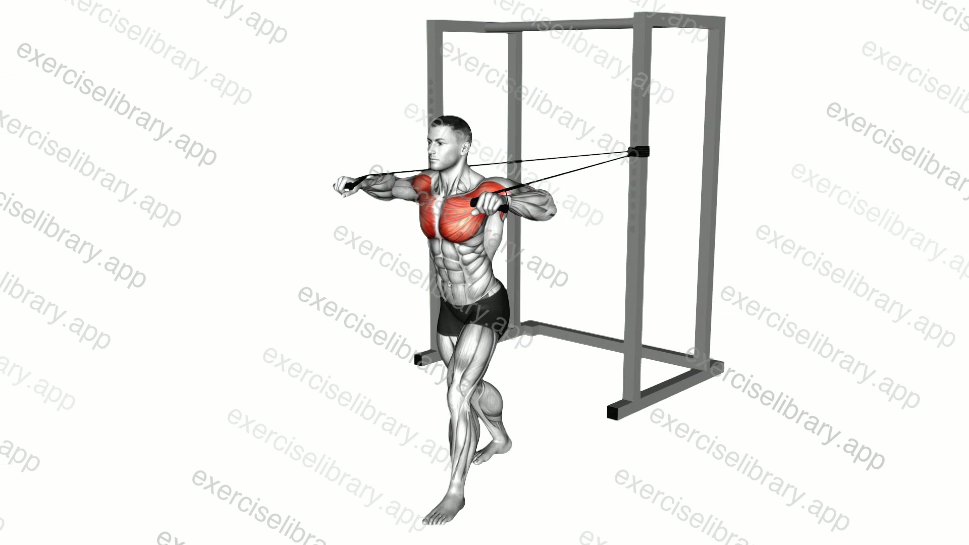 Band Standing Chest Press demonstration