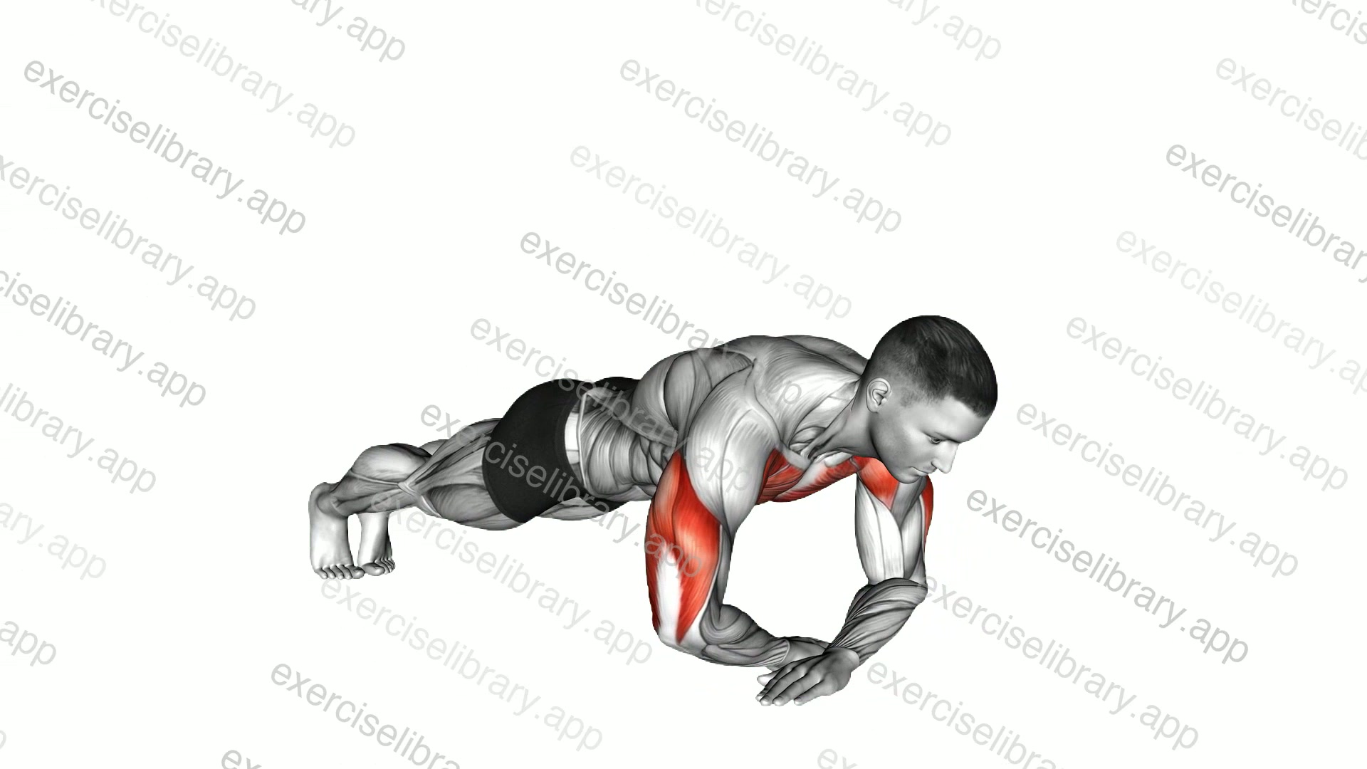 Cross Arms Push up demonstration