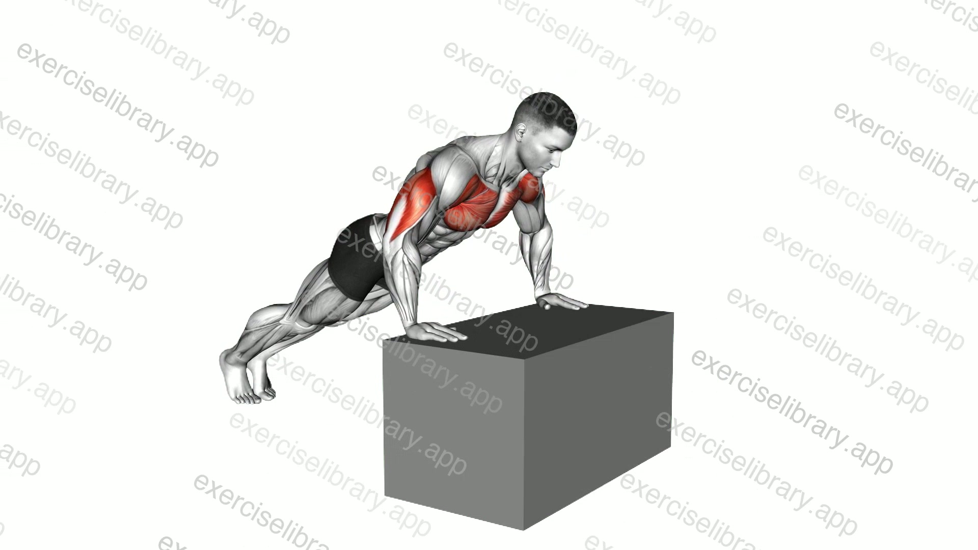Incline Push-Up demonstration