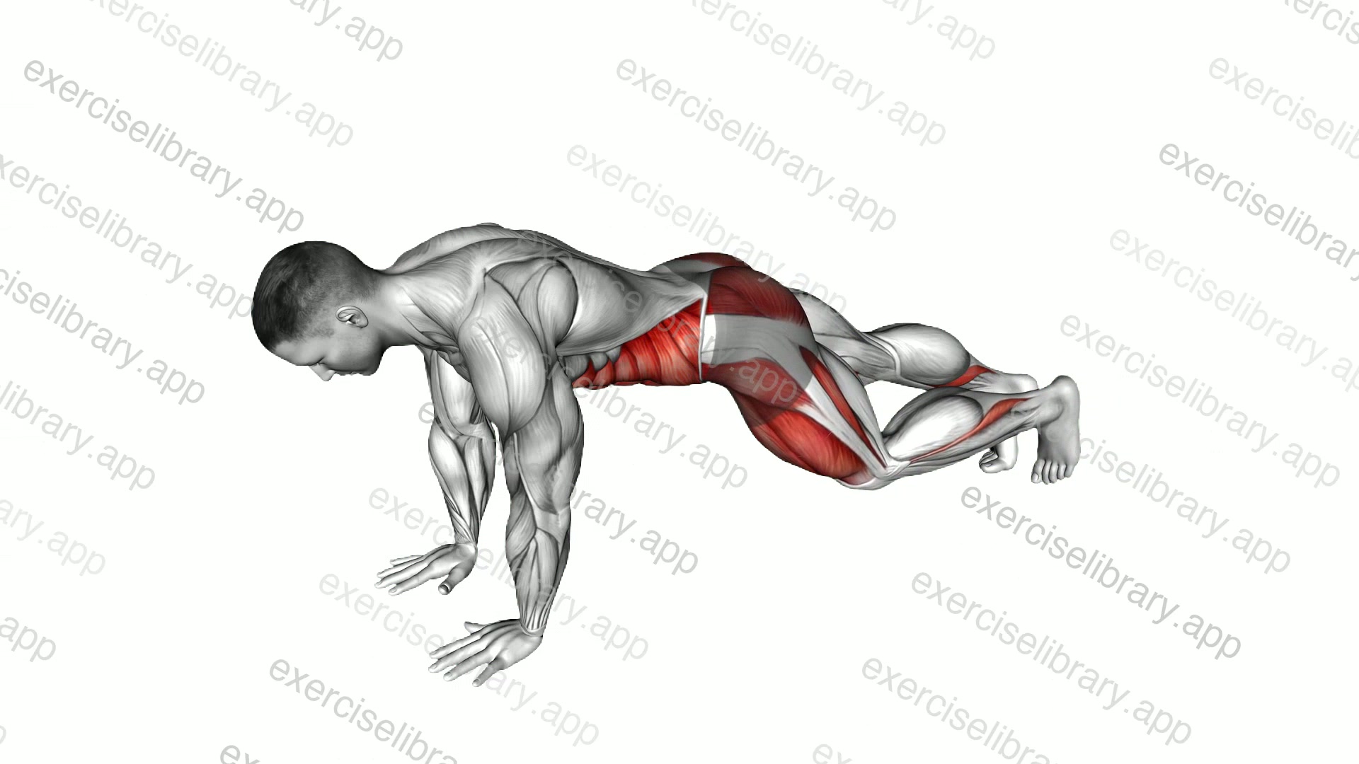 Front Plank Toe Tap demonstration