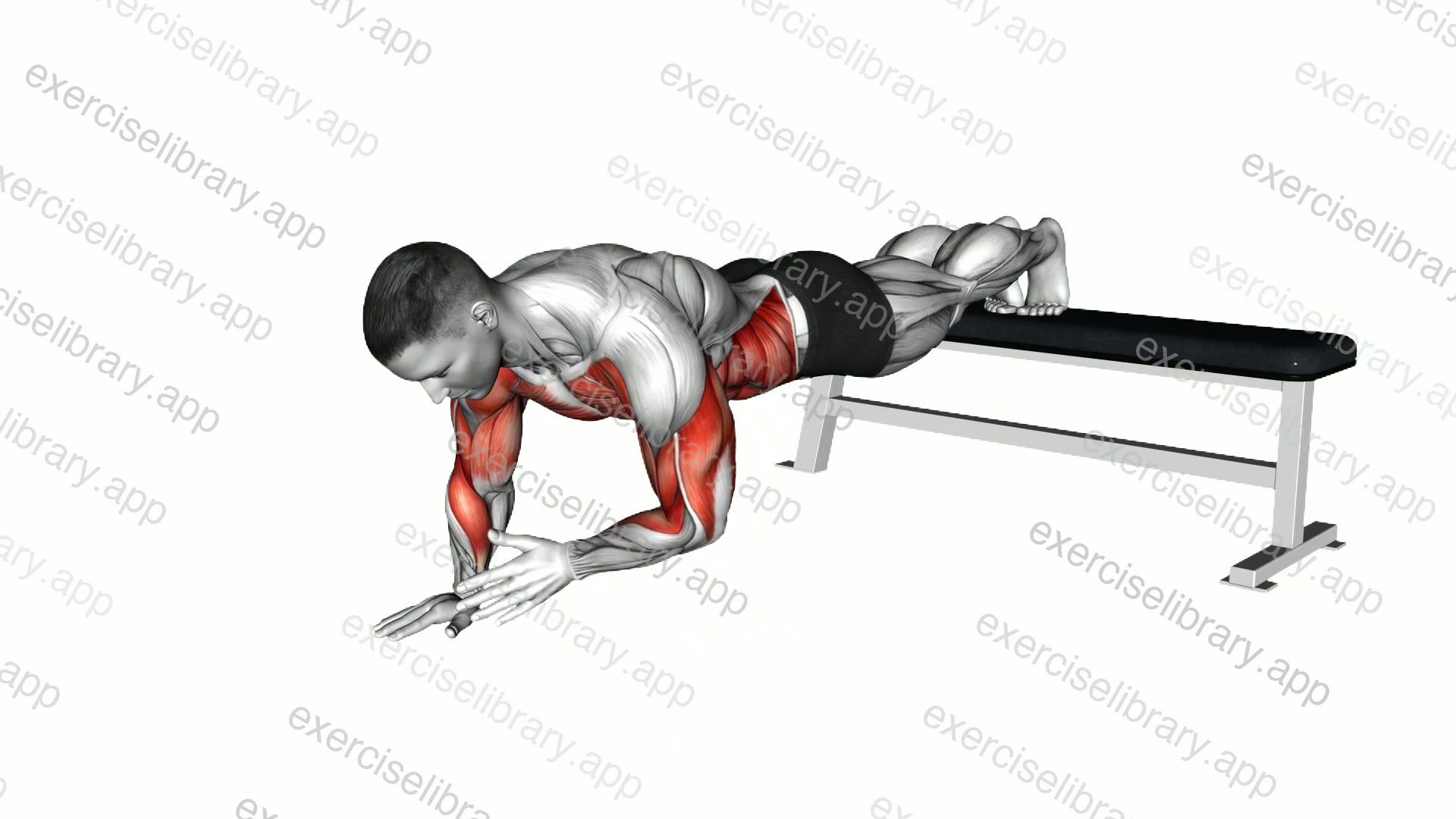 Decline Shoulder Tap demonstration
