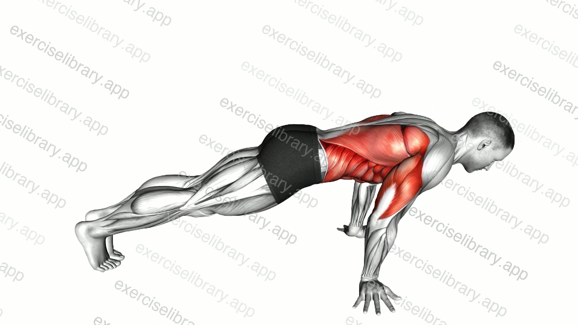 Pseudo Planche Push-up demonstration