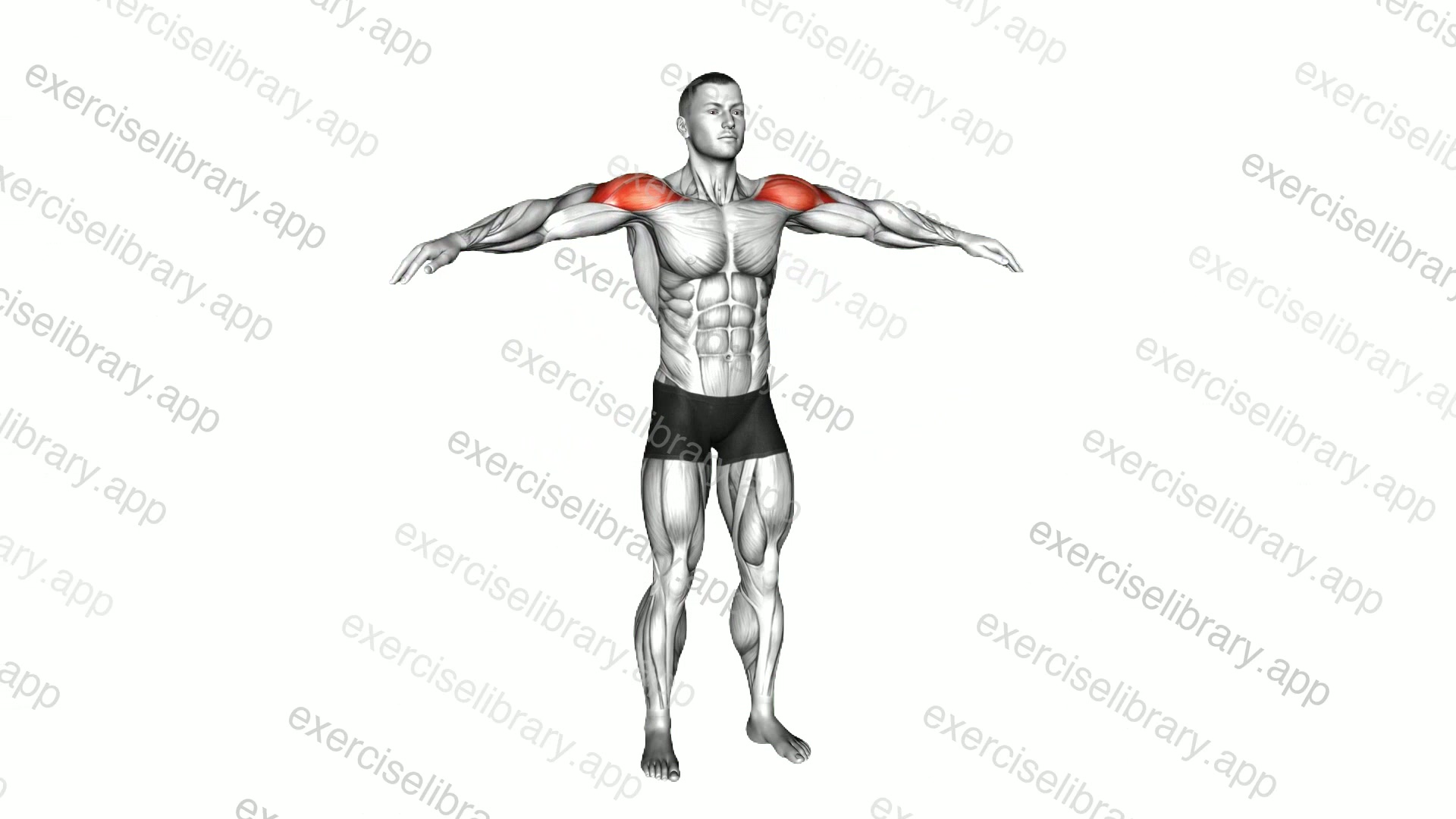 Mid Air Lateral Raises with Switching Palms demonstration