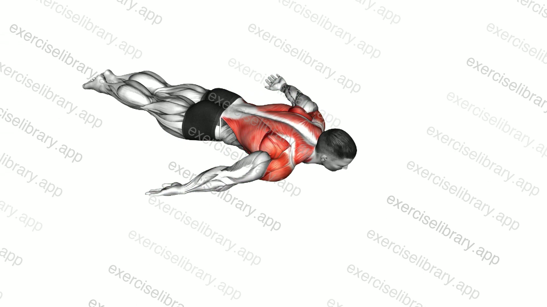 Lying Around the World demonstration