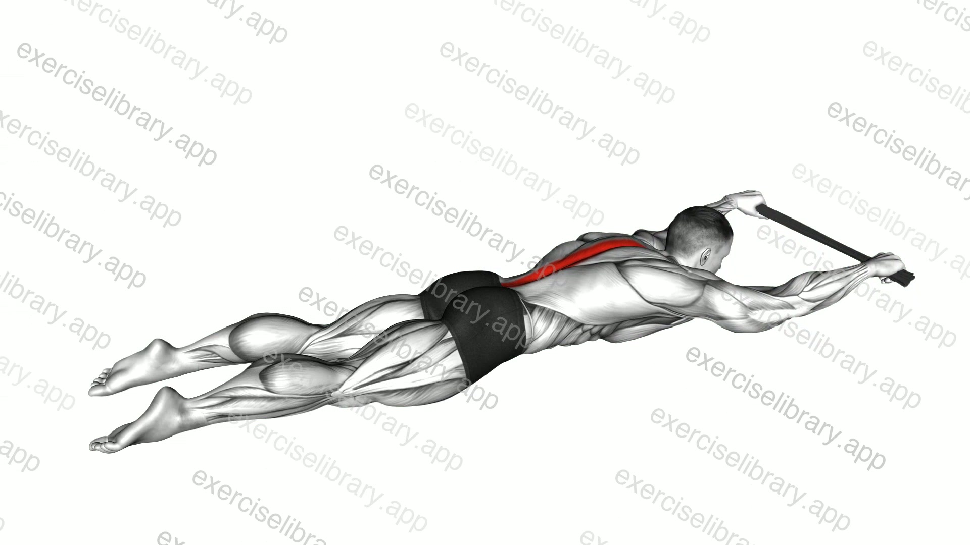 Lying Floor Hyperextension with Towel demonstration