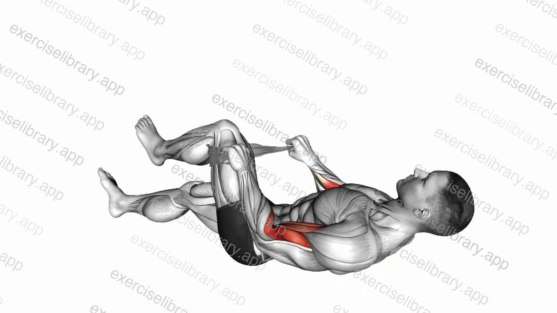 Lying Single Legs Reverse Biceps Curl with Towel demonstration