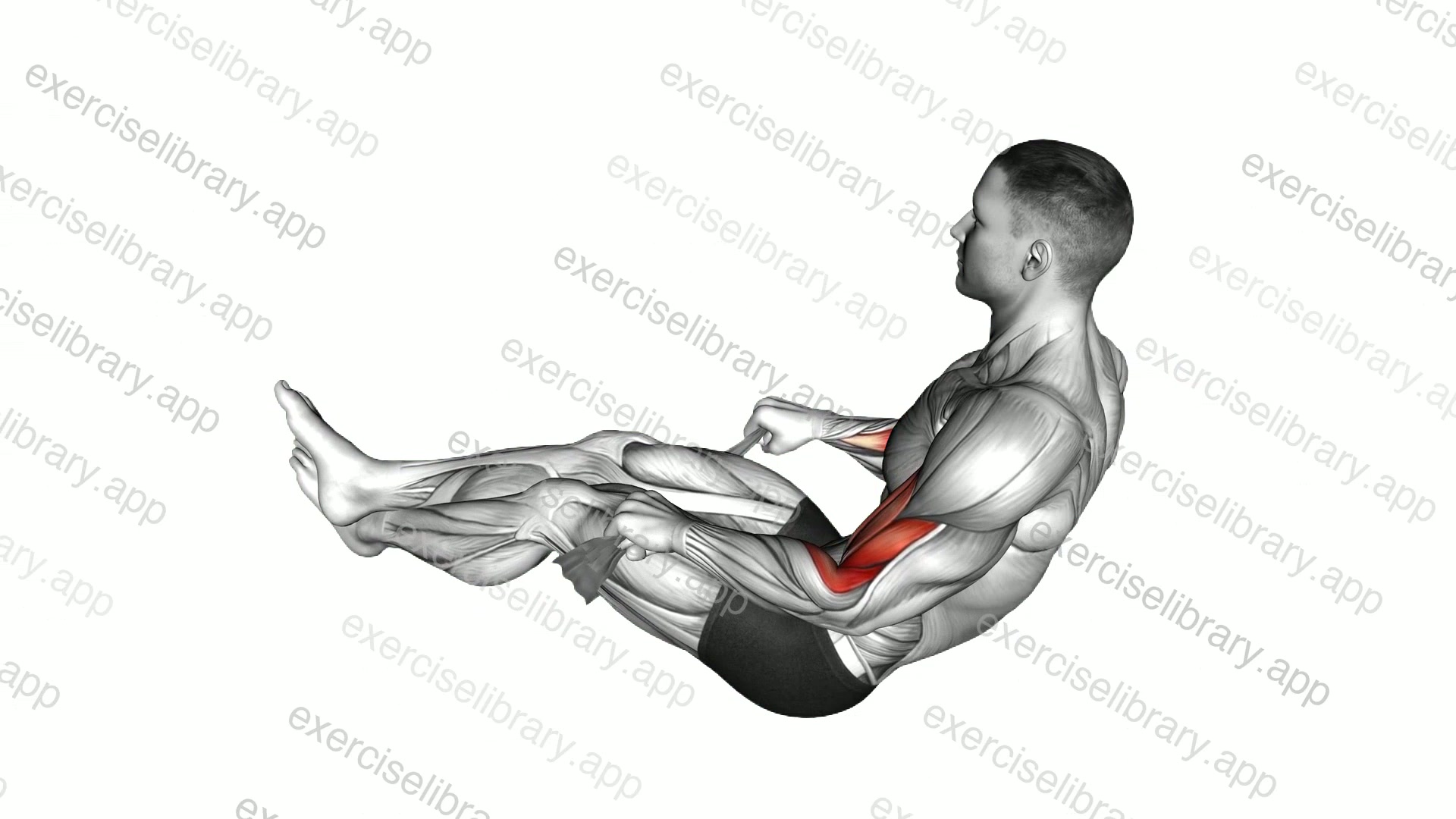 Two Legs Reverse Biceps Curl with Towel demonstration