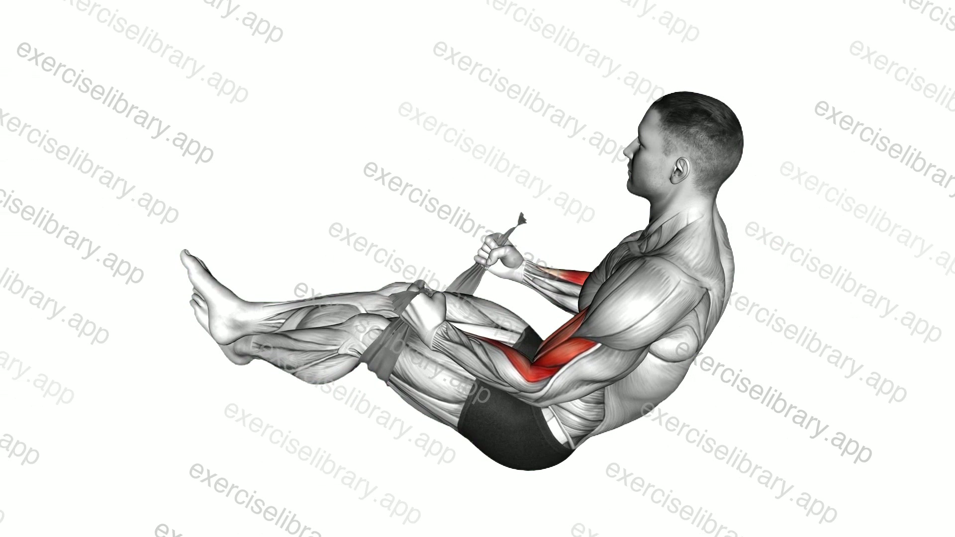Two Legs Hammer Curl with Towel demonstration
