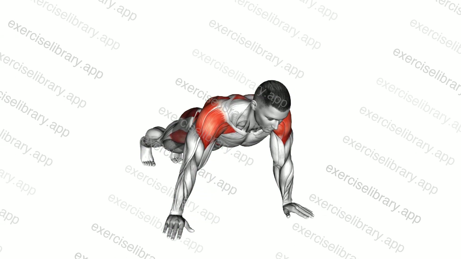 Plank Lateral Raise demonstration