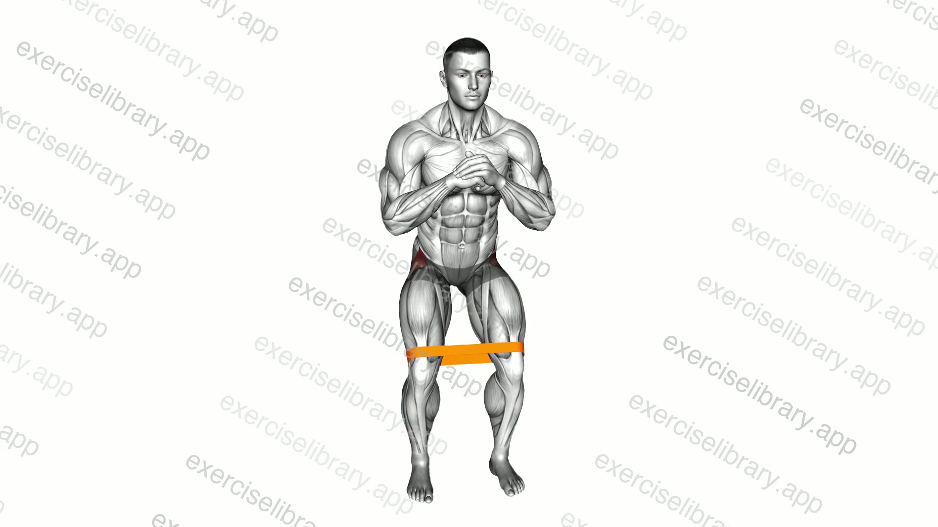 Resistance Band Standing Hip Abduction demonstration
