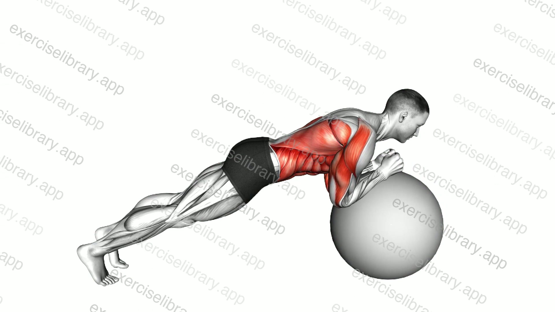 Exercise Ball Body Saw demonstration