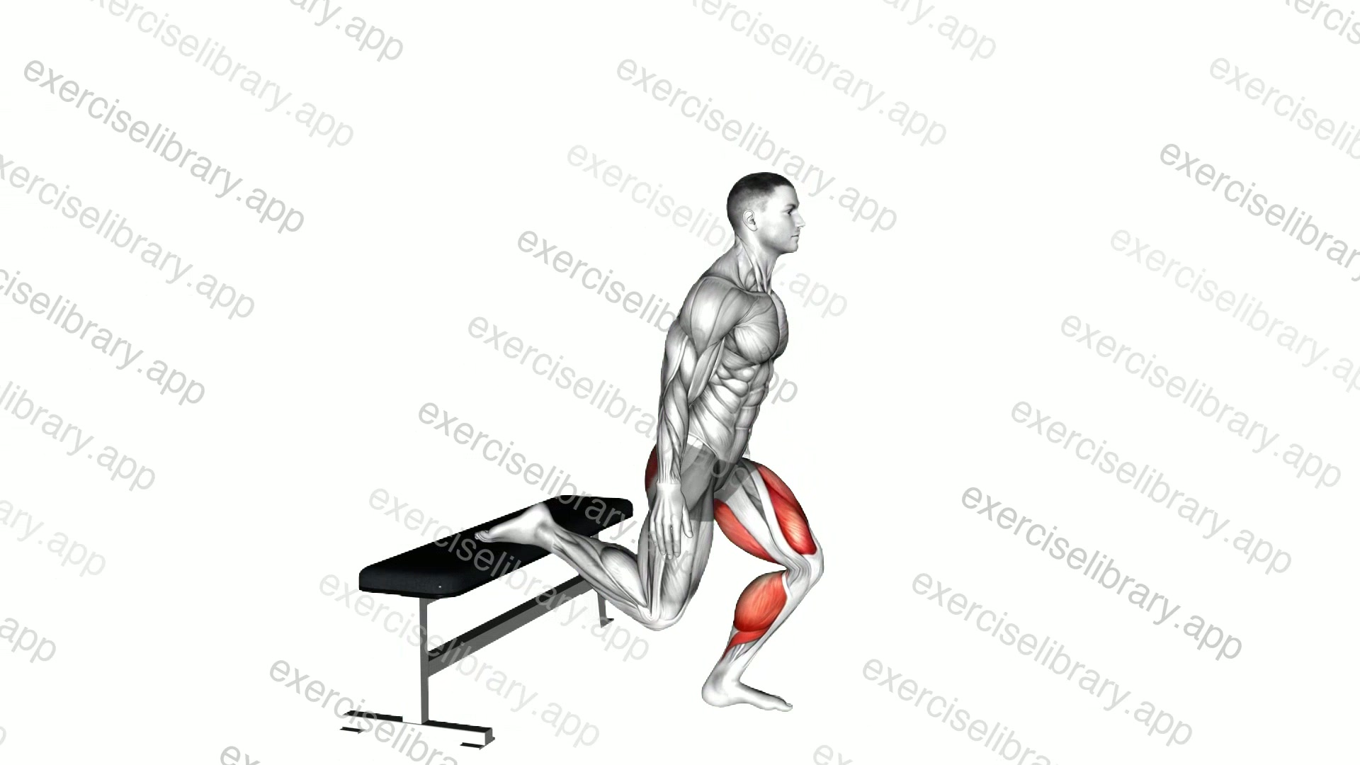 Bulgarian Jump Squat demonstration
