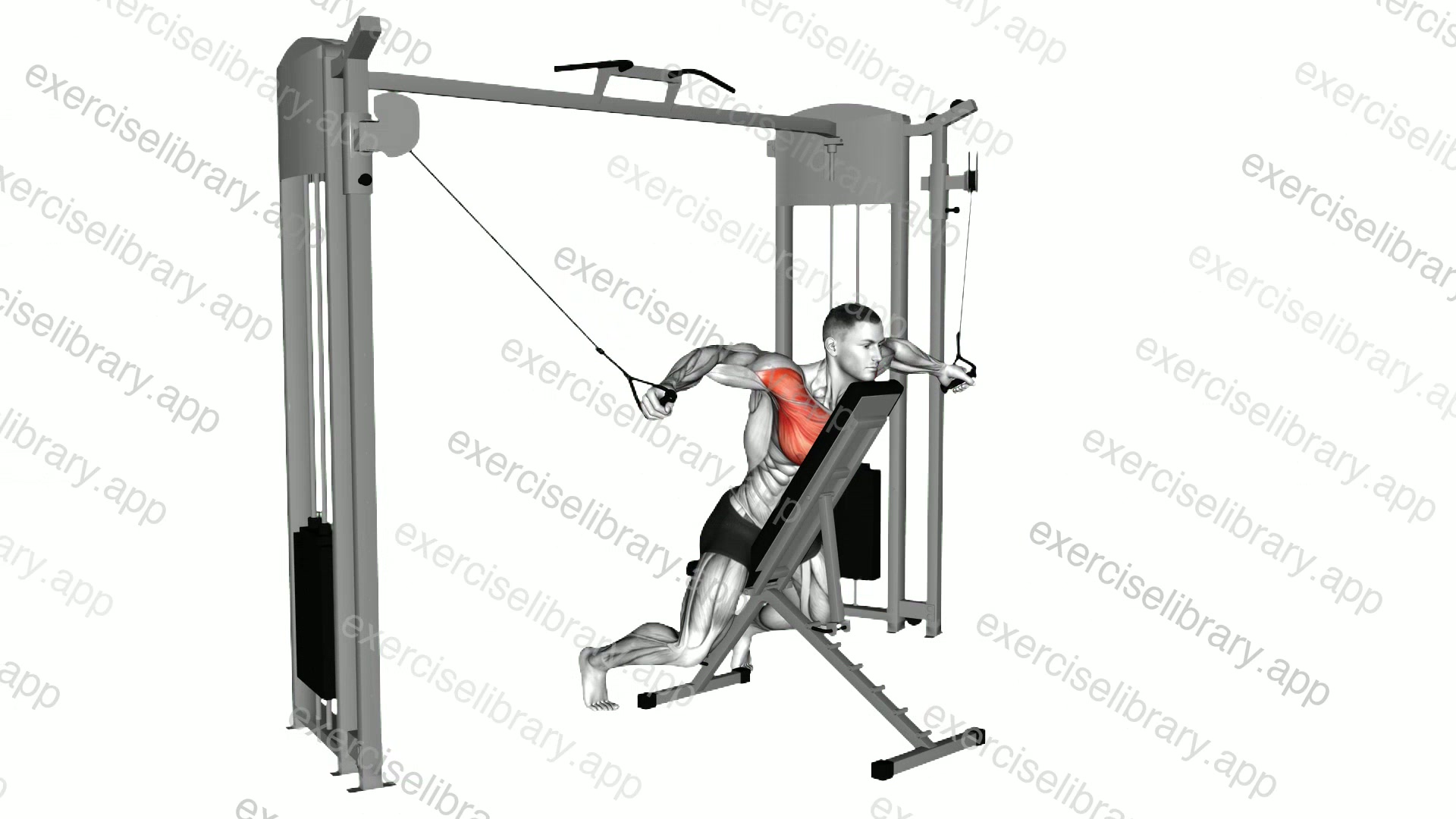 Cable Fly with Chest Supported demonstration