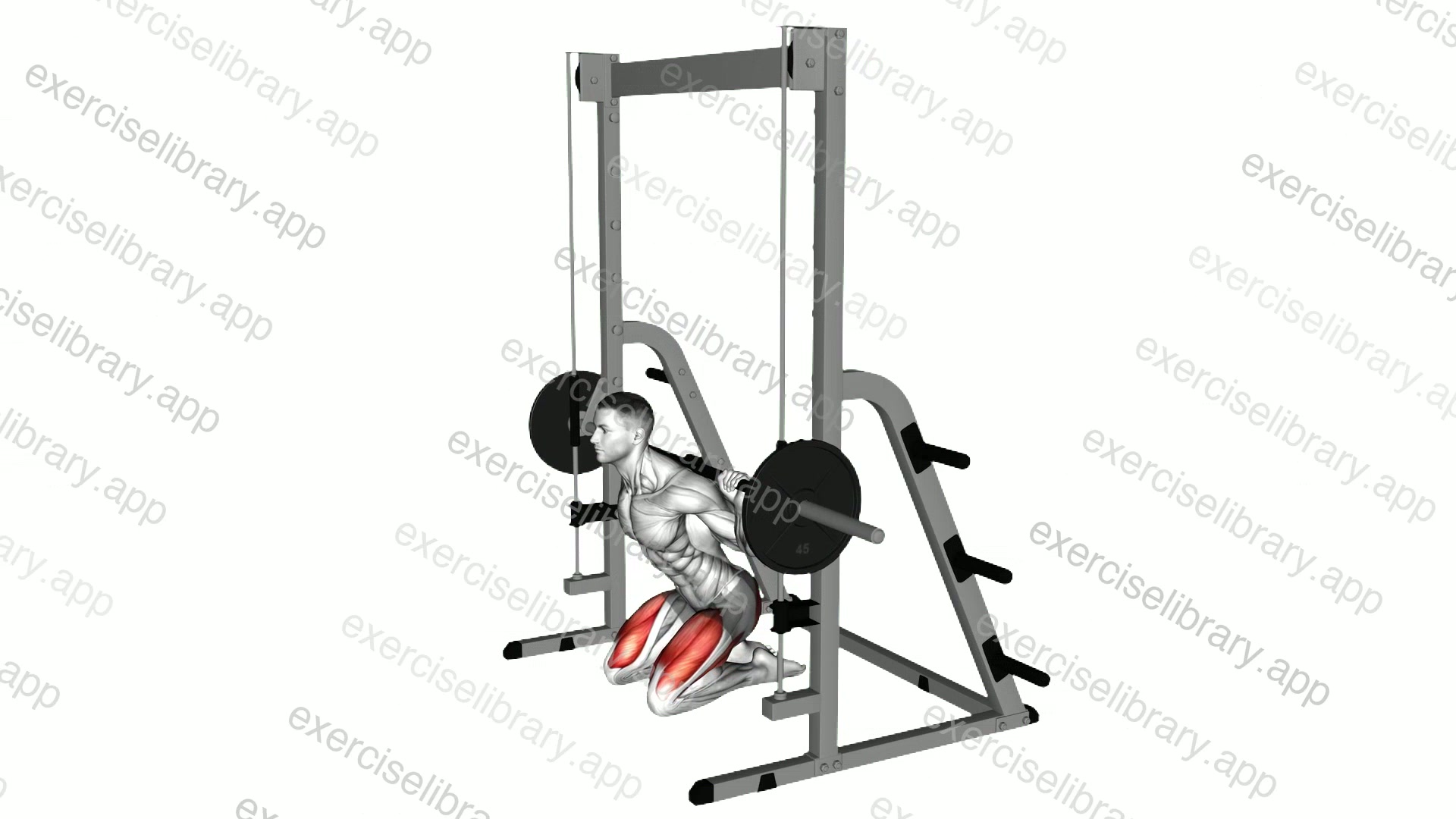 Smith Kneeling Hip Thrust demonstration