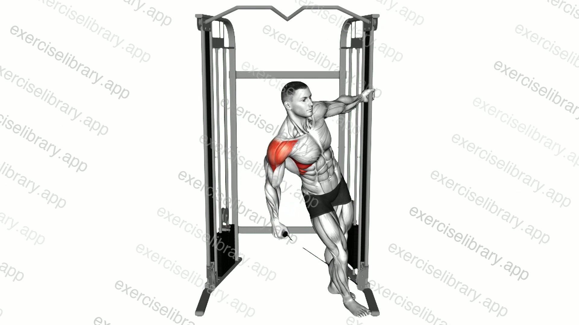 Cable Leaning Lateral Raise demonstration