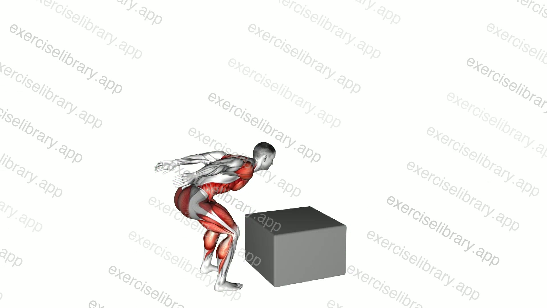 Jump Box Over demonstration
