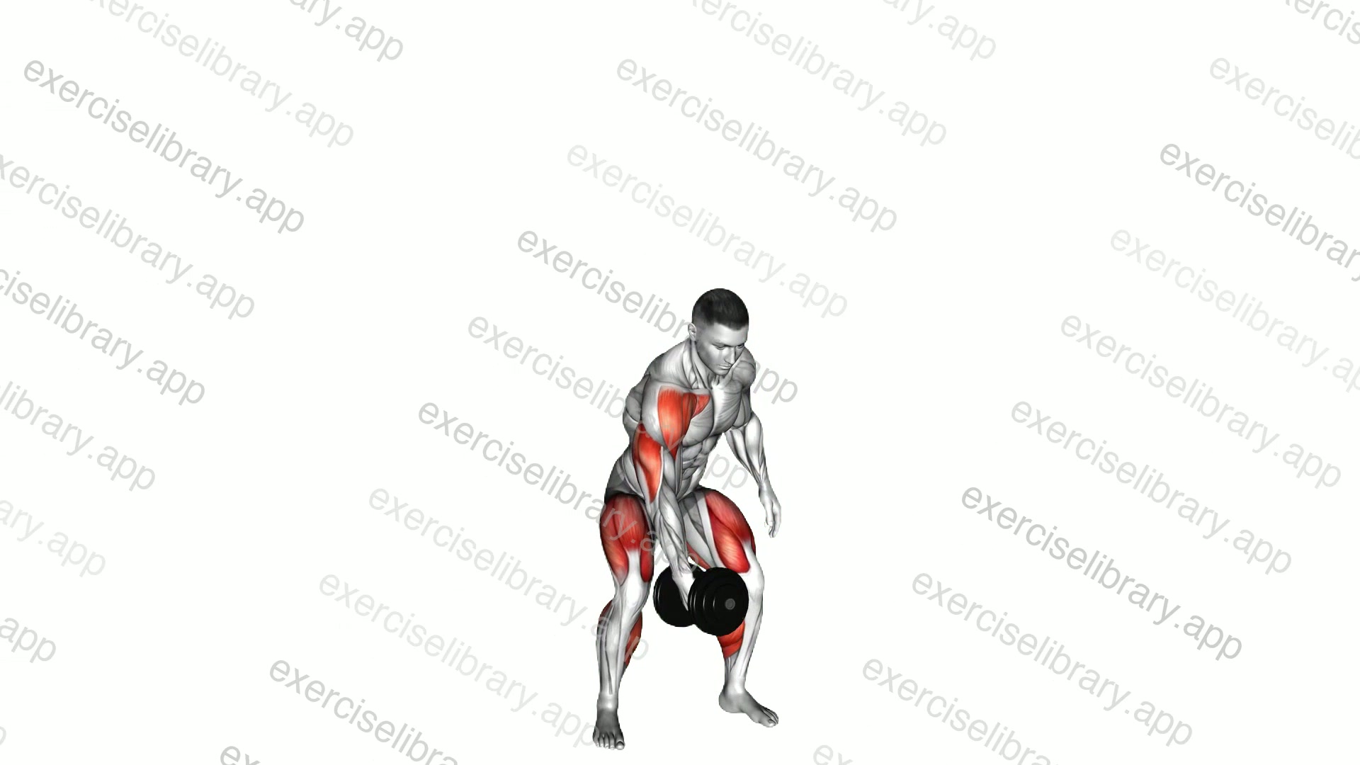 Dumbbell One Arm Snatch demonstration