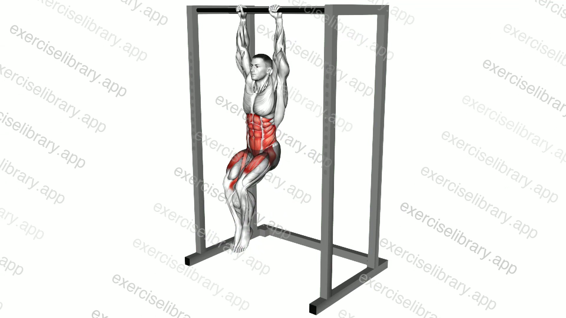 Hanging Knees to Elbows demonstration