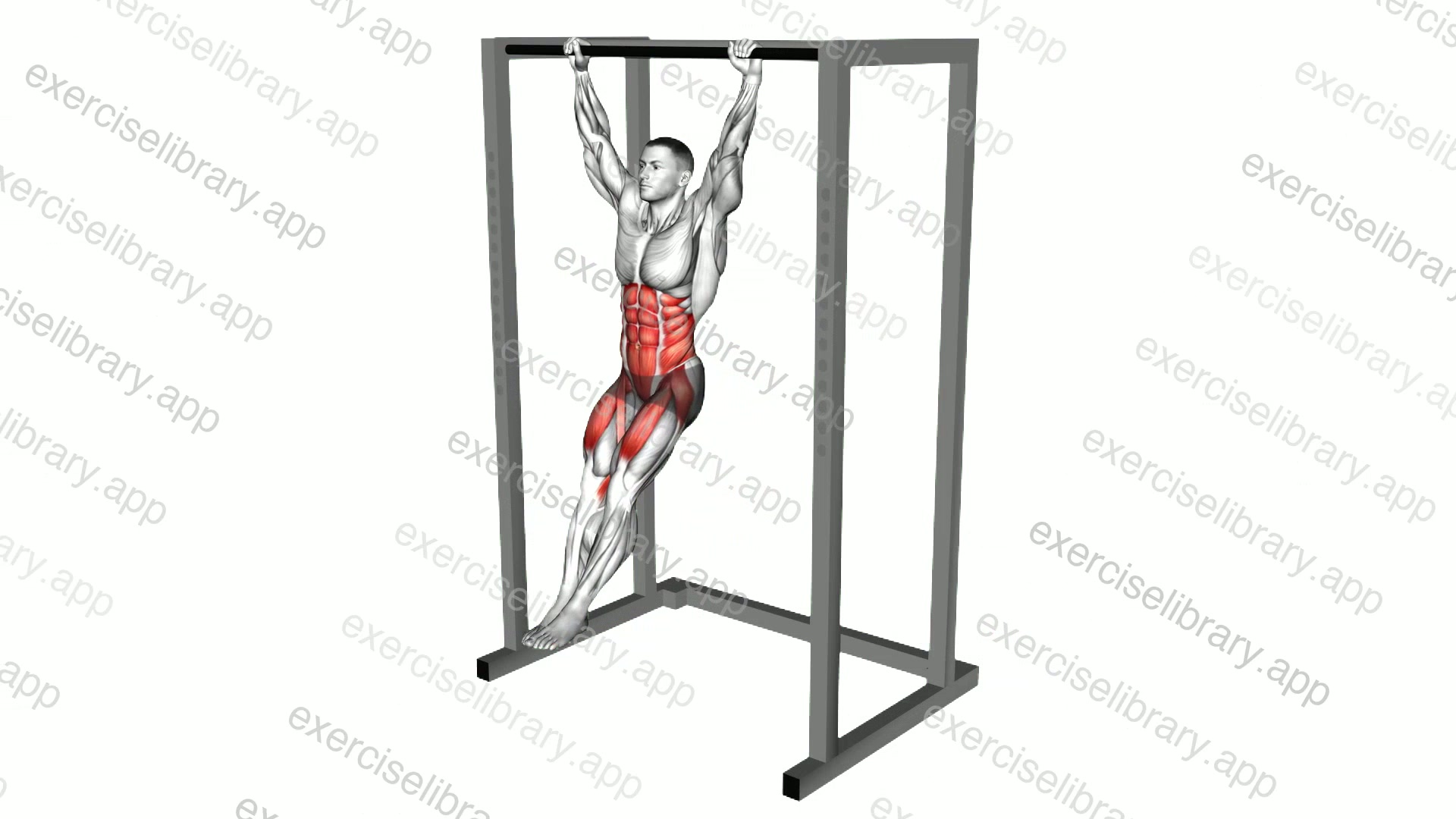 Hanging Toes to Bar demonstration
