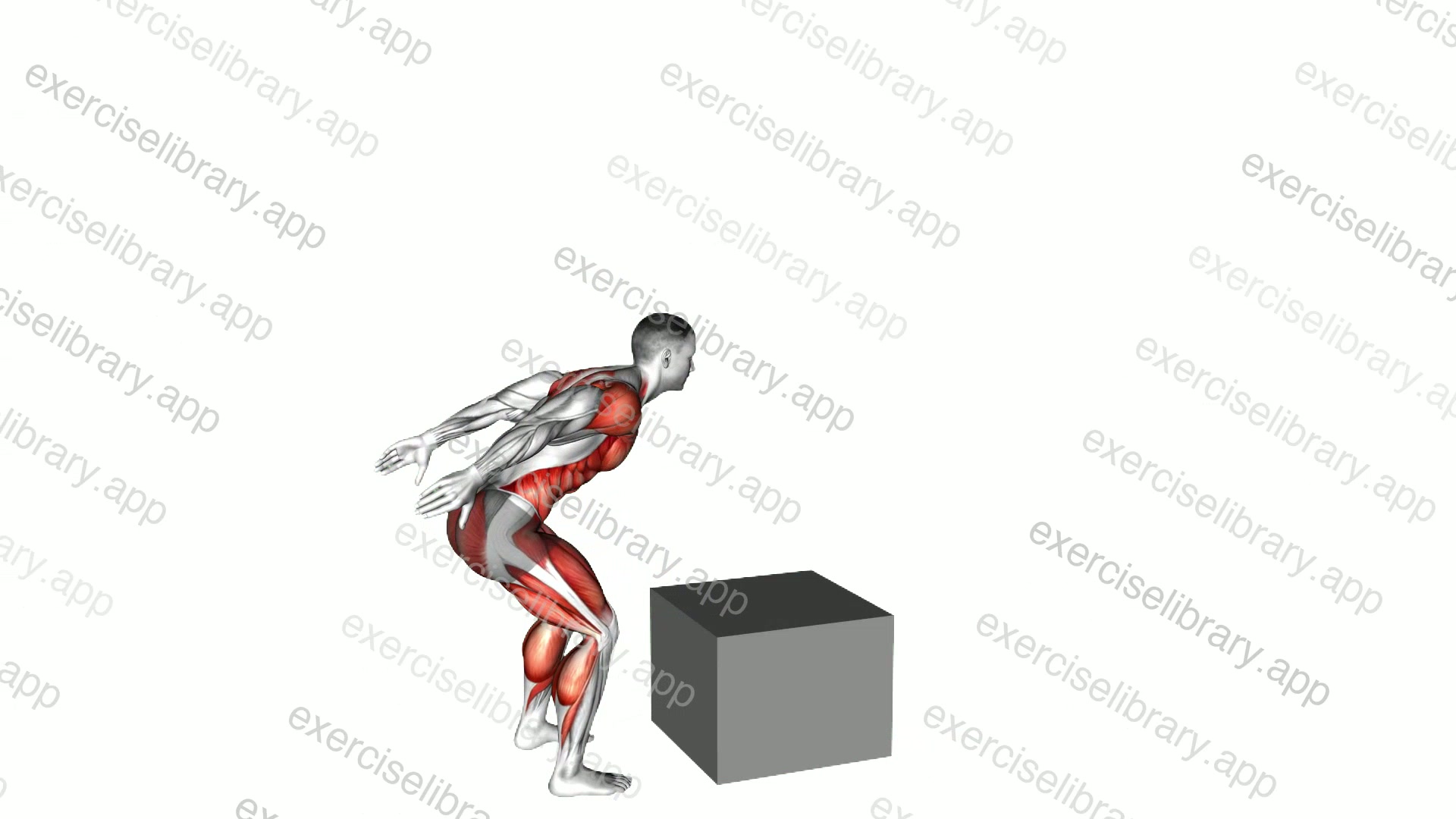 Jump on Fit Box demonstration