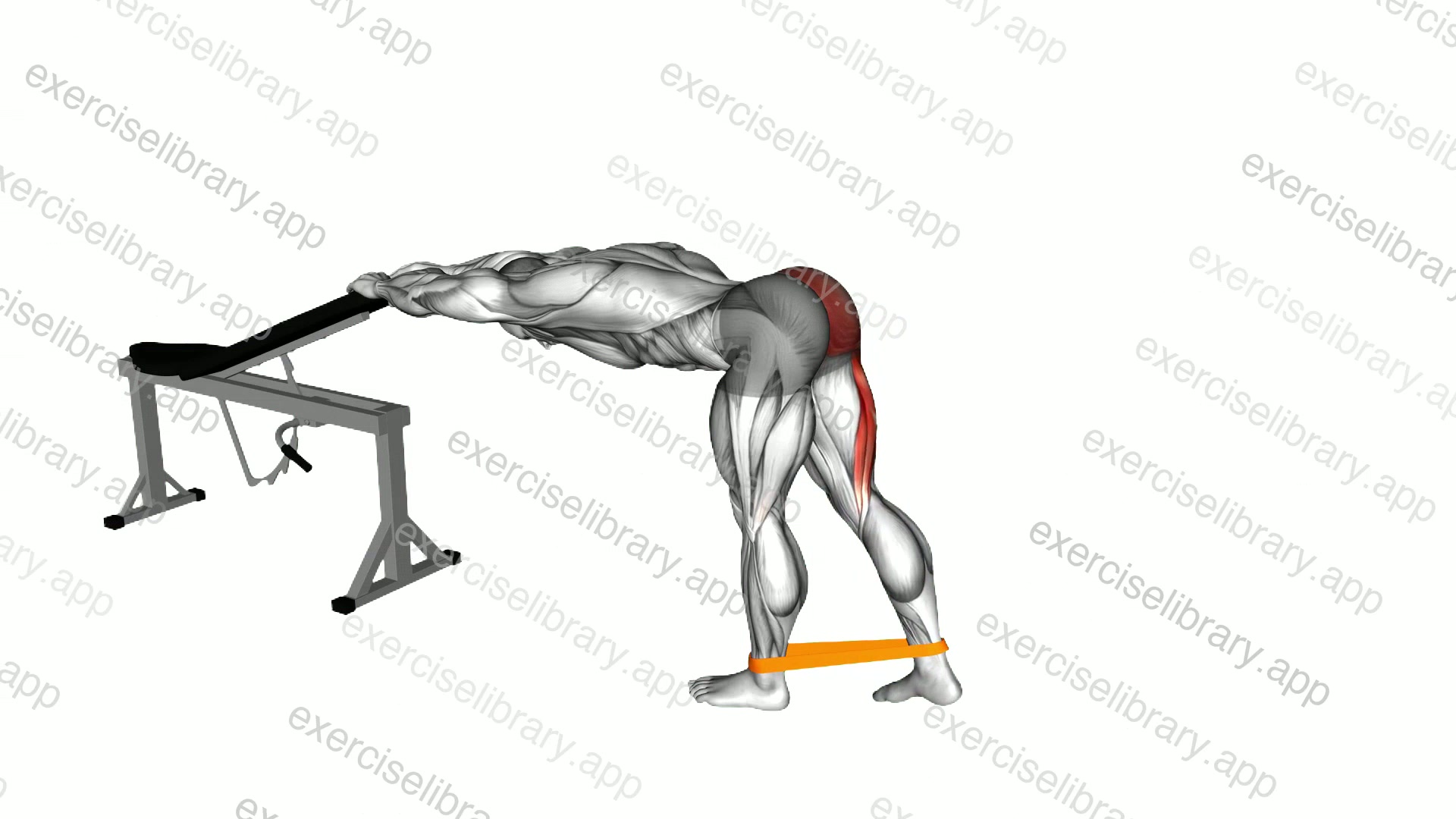 Resistance Band One Leg Kickback demonstration