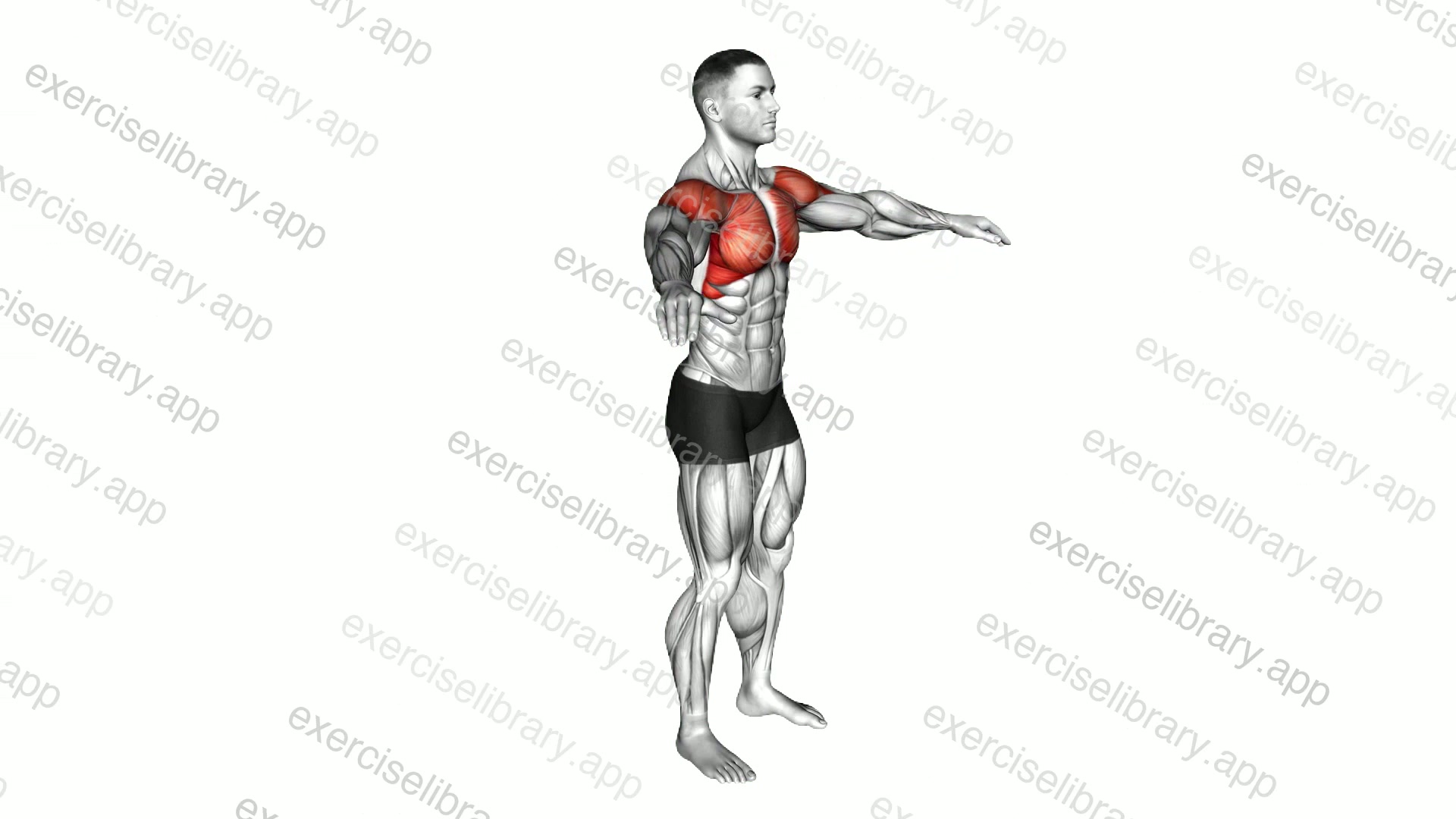 Arm Circles demonstration