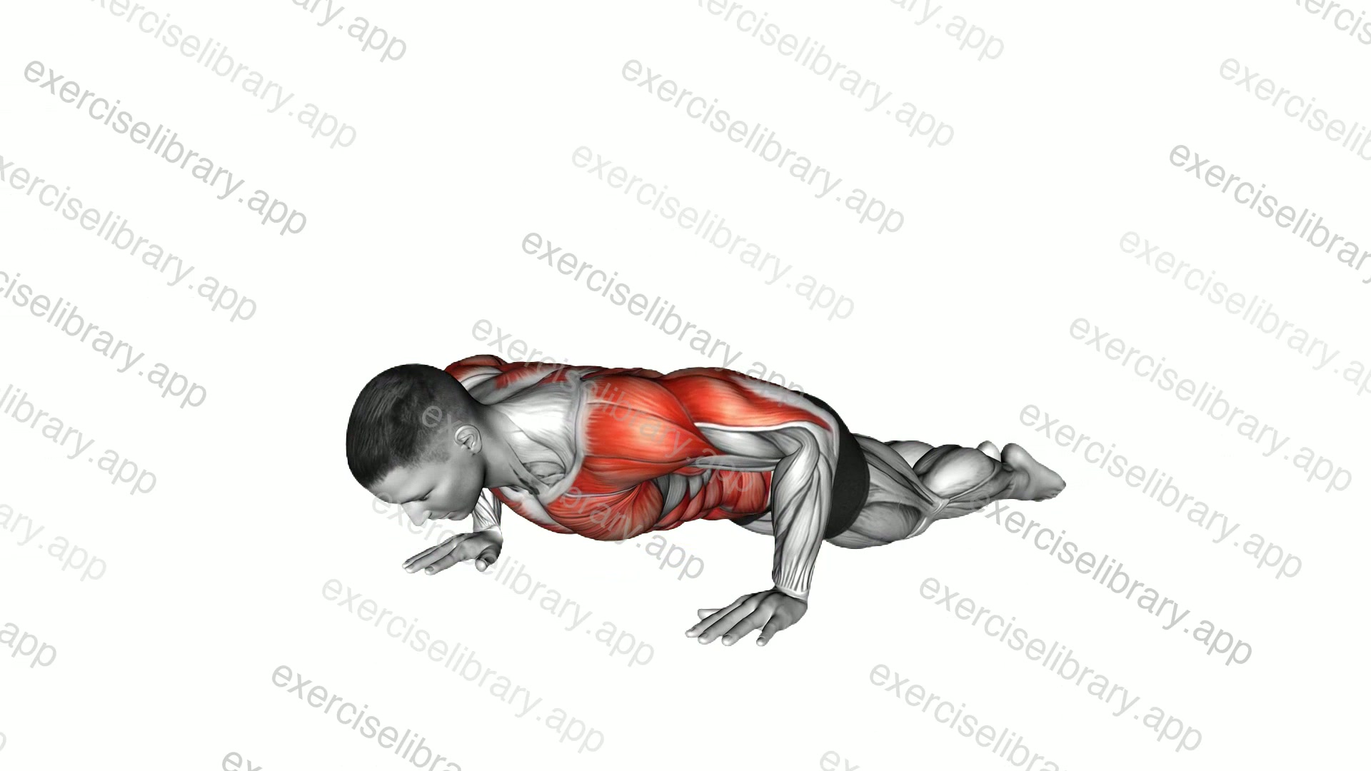 Bodyweight Kneeling Push-Up Row demonstration