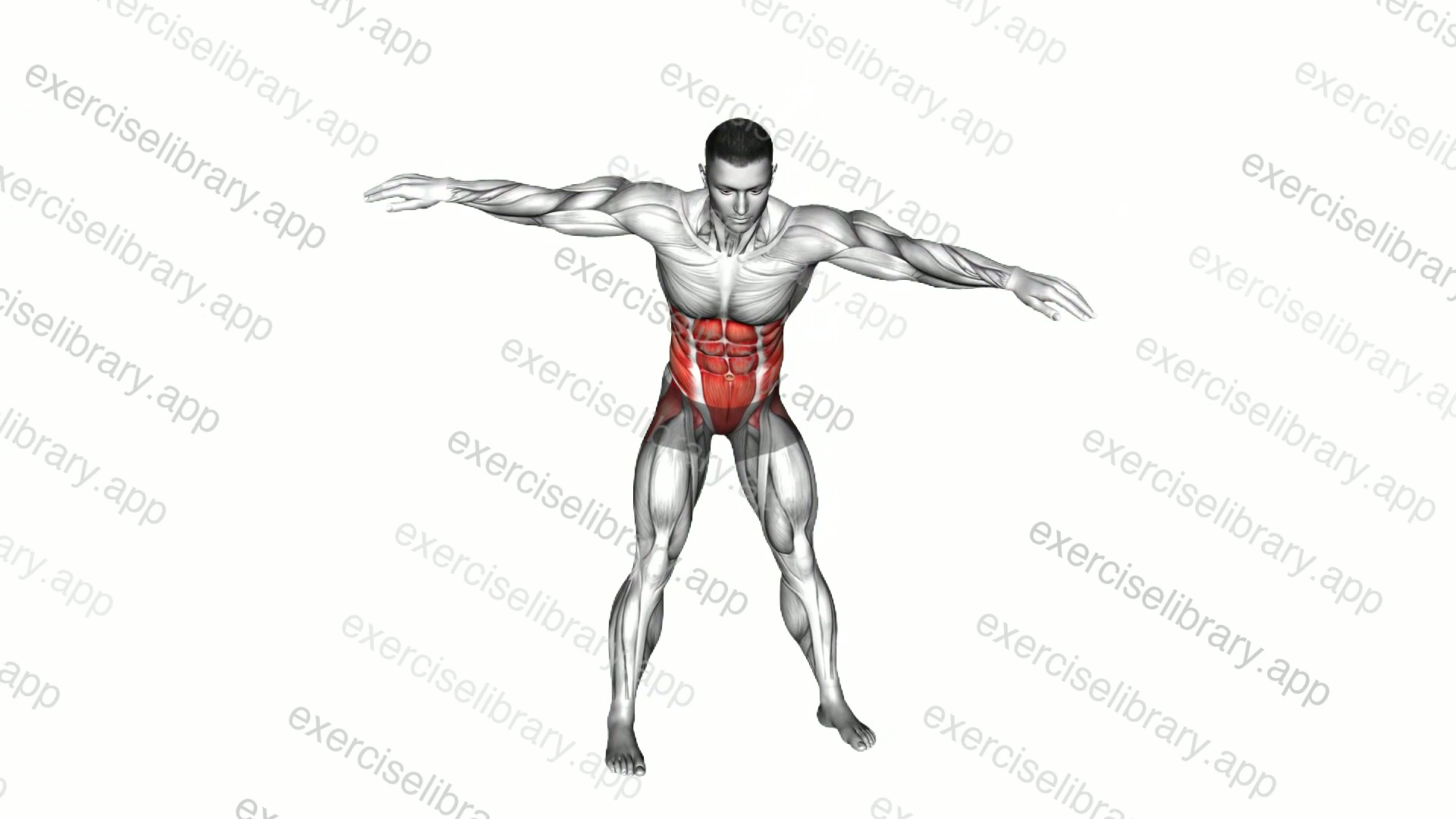 Bodyweight Windmill demonstration