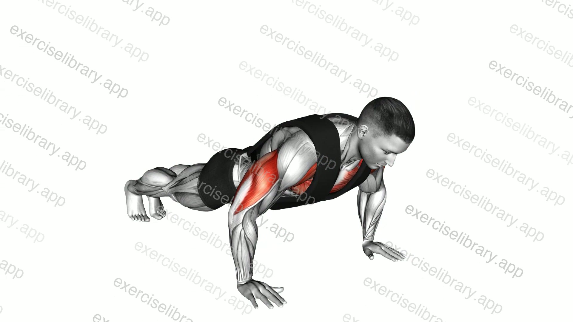 Weighted Push-up with Vest demonstration