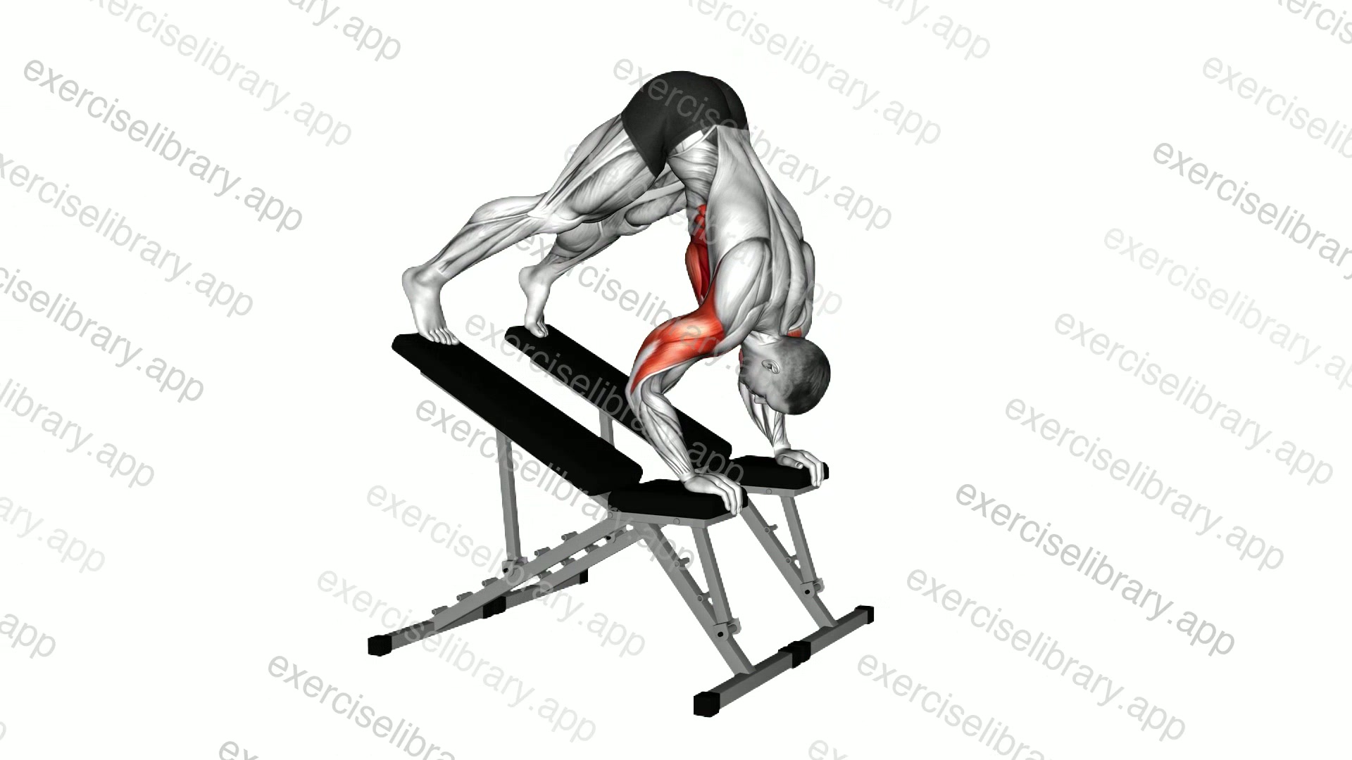 Decline Pike Press demonstration