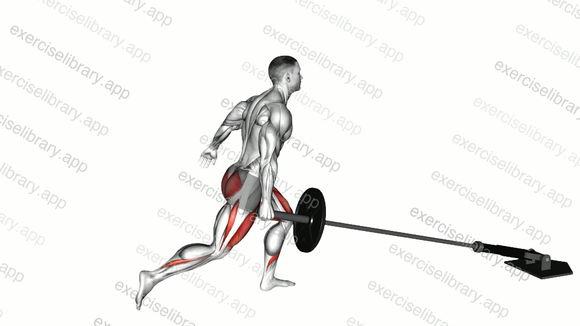 Landmine Rear Lunge demonstration