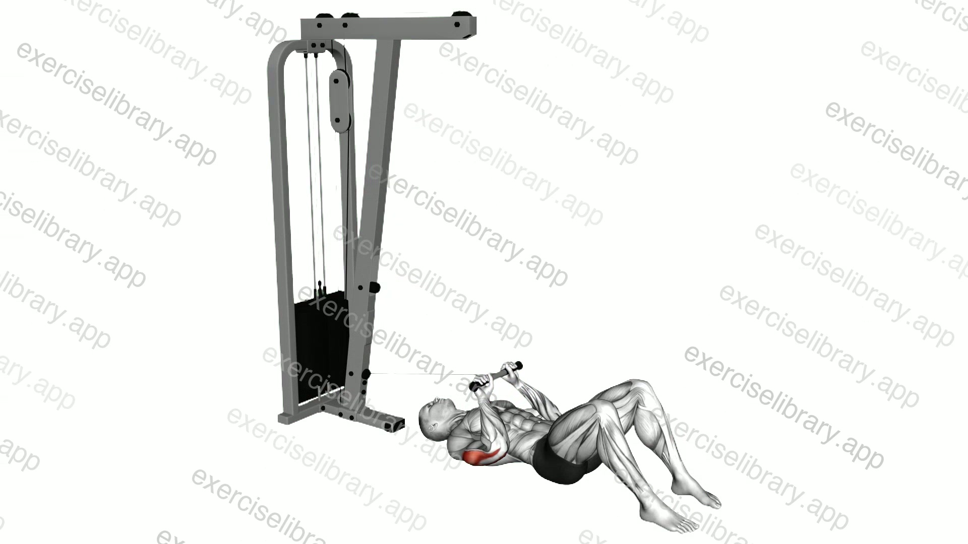 Cable Triceps Pushdown on Floor demonstration