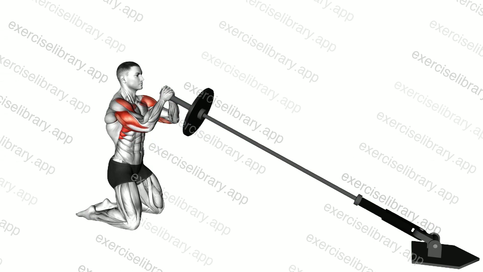 Landmine Kneeling Squeeze Press demonstration