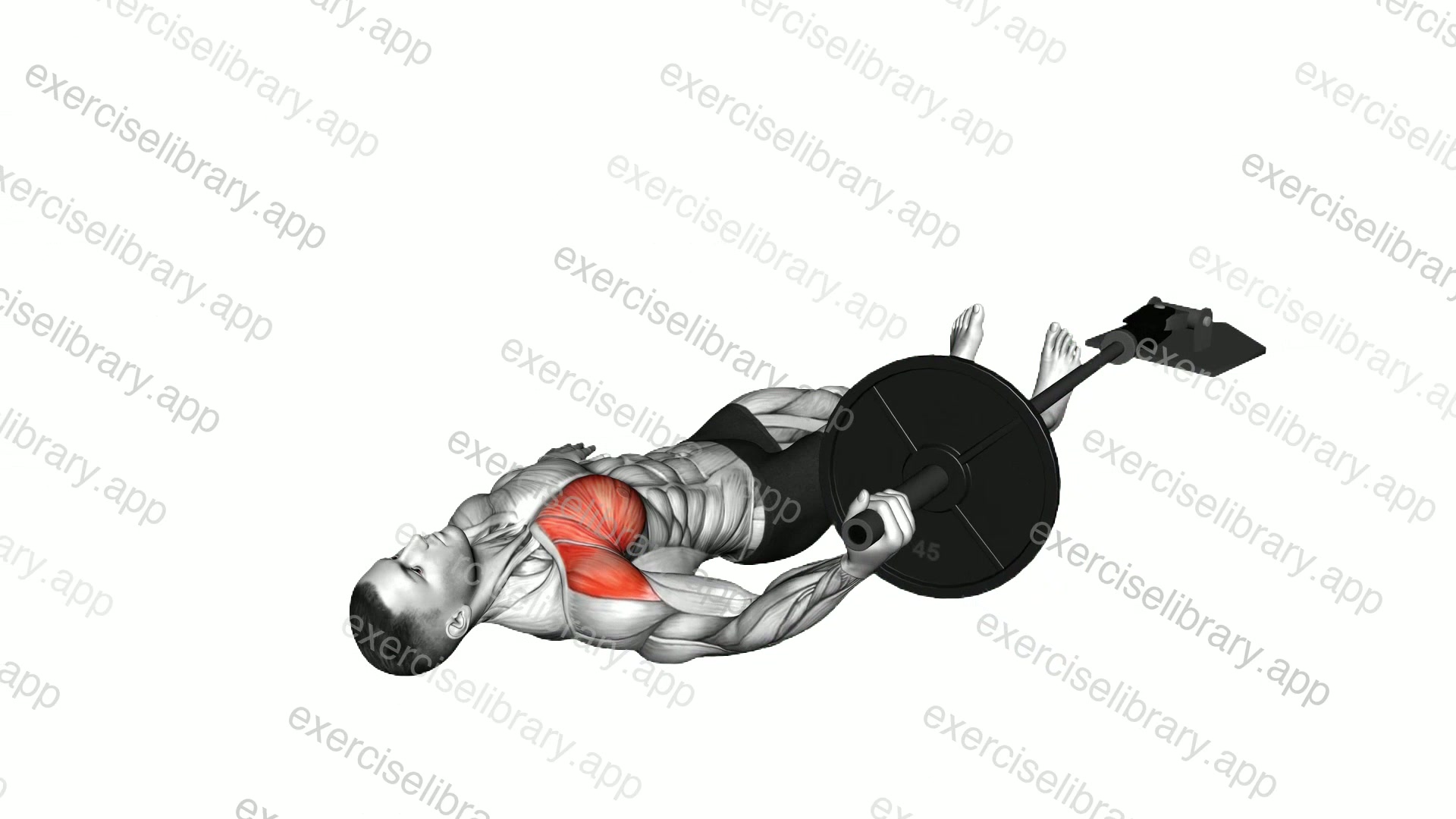 Landmine Floor One Arm Chest Fly demonstration