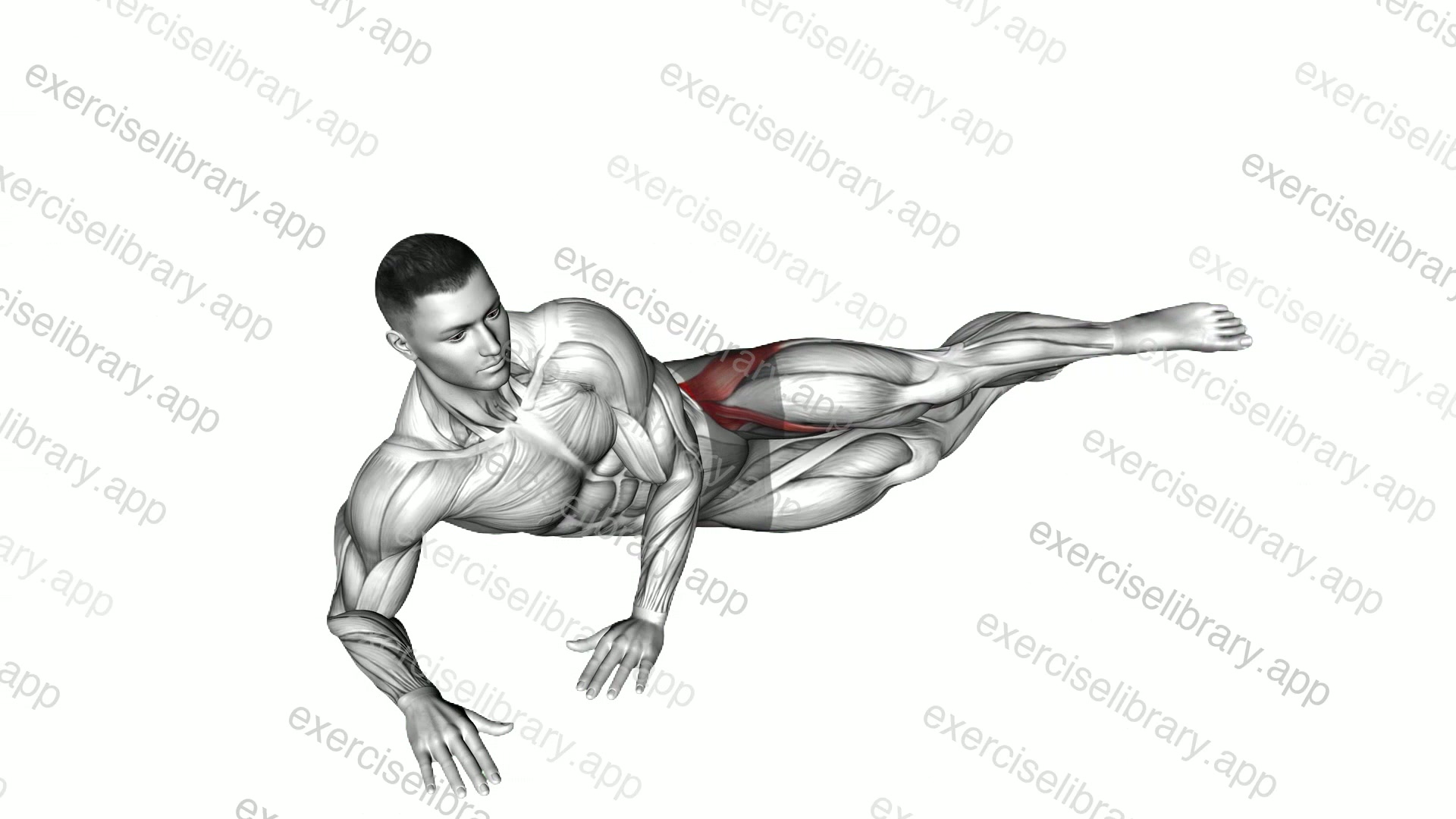 Side Lying Leg Circle demonstration