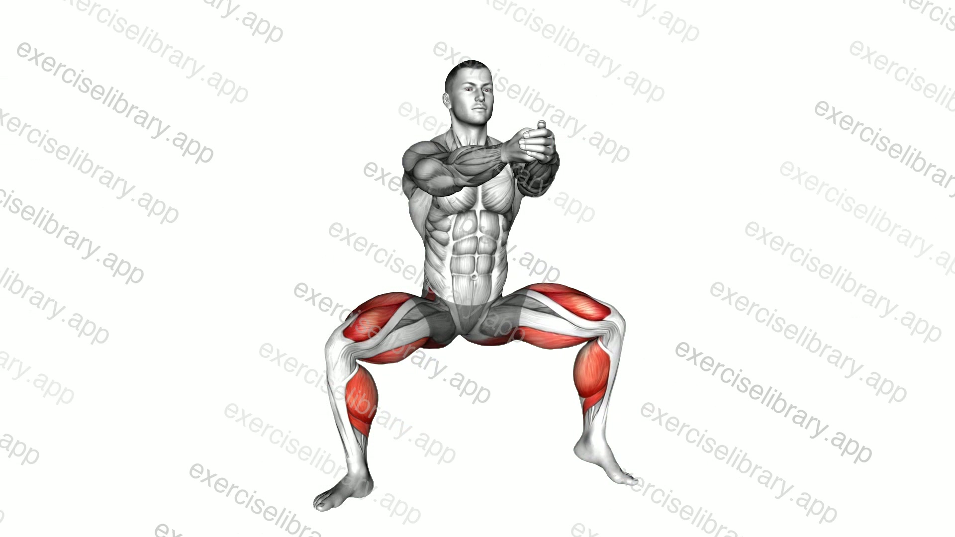 Squat Tip Toe demonstration